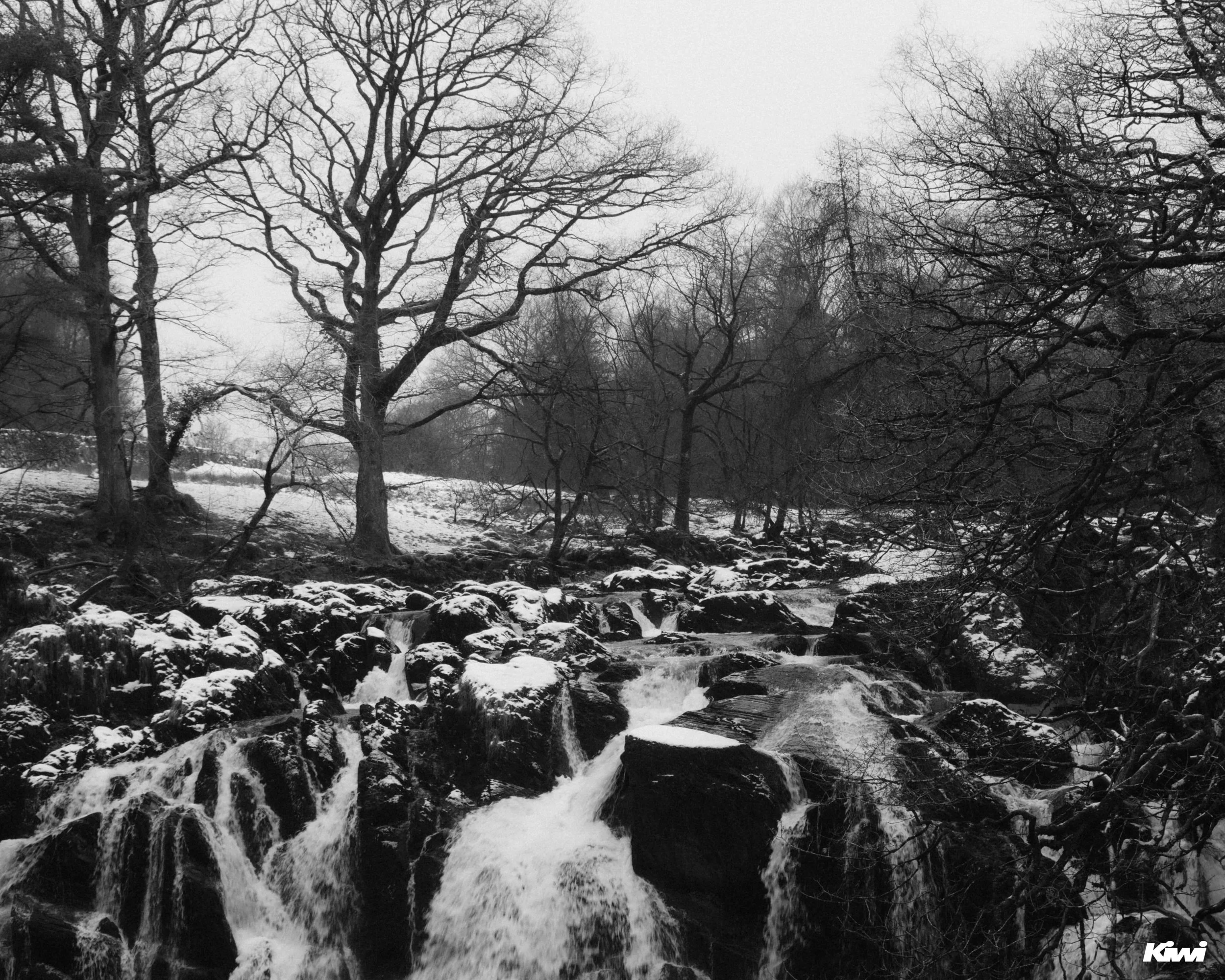 January 06, 2026 - 2218 - 4.jpg