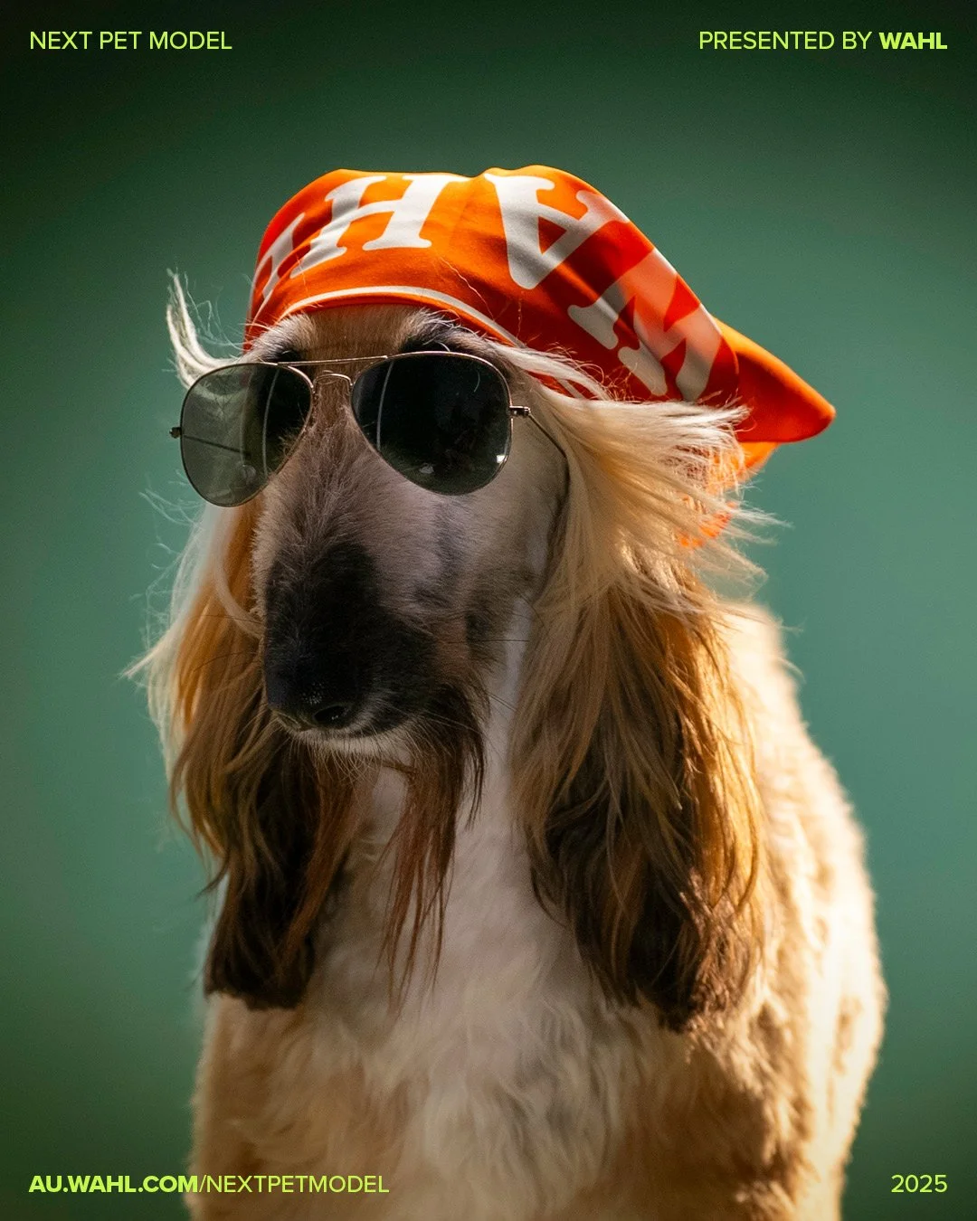 Next Pet Model 2025 - 1080x1350px10.jpg