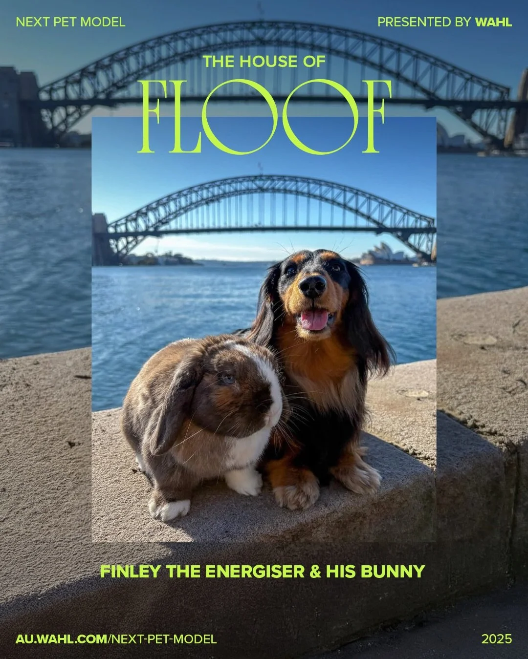 WE HAVE A WINNER! 🏆

Meet your Next Pet Model 2025:
Finley &mdash; the Energiser Dog ⚡🐶

Powered by joy, fuelled by zoomies, and never running out of battery &mdash; especially with his ride-or-die bunny best friend Jinx by his side 🐰💥

From lege