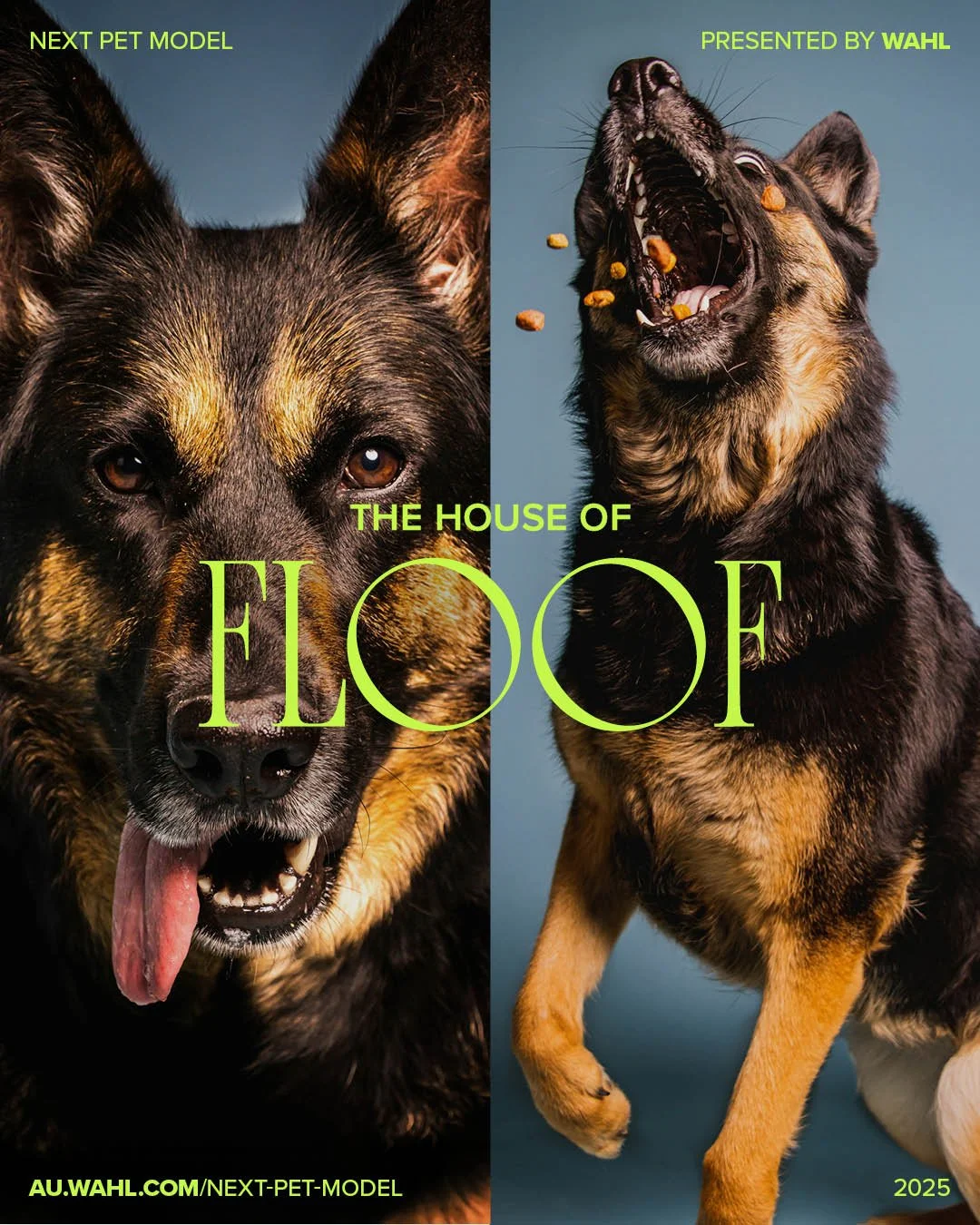 🌟 FINAL 4 ANNOUNCED 🌟
Meet the dogs who clawed, charmed, strutted and floofed their way to the top.

After thousands of entries and weeks of voting, storytelling and immaculate grooming&hellip; these four now stand one paw from the crown. 👑✨

Your