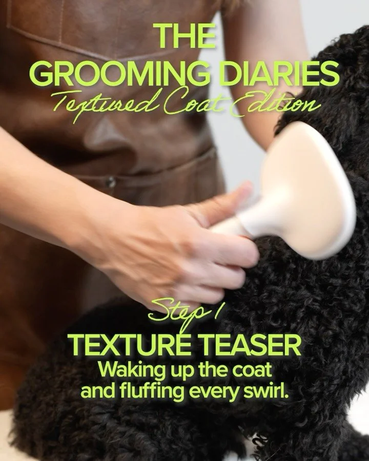 Grooming Diaries - Textured Coat Glow-Up Guide 🐾 ✨

@bergmanpark walks you through the full textured grooming routine &mdash; from brushing to bathing to fluffing.

Swipe, learn, repeat ➡️

🛍️ Products in link in bio.

Presented by @wahlanz
#nextpe