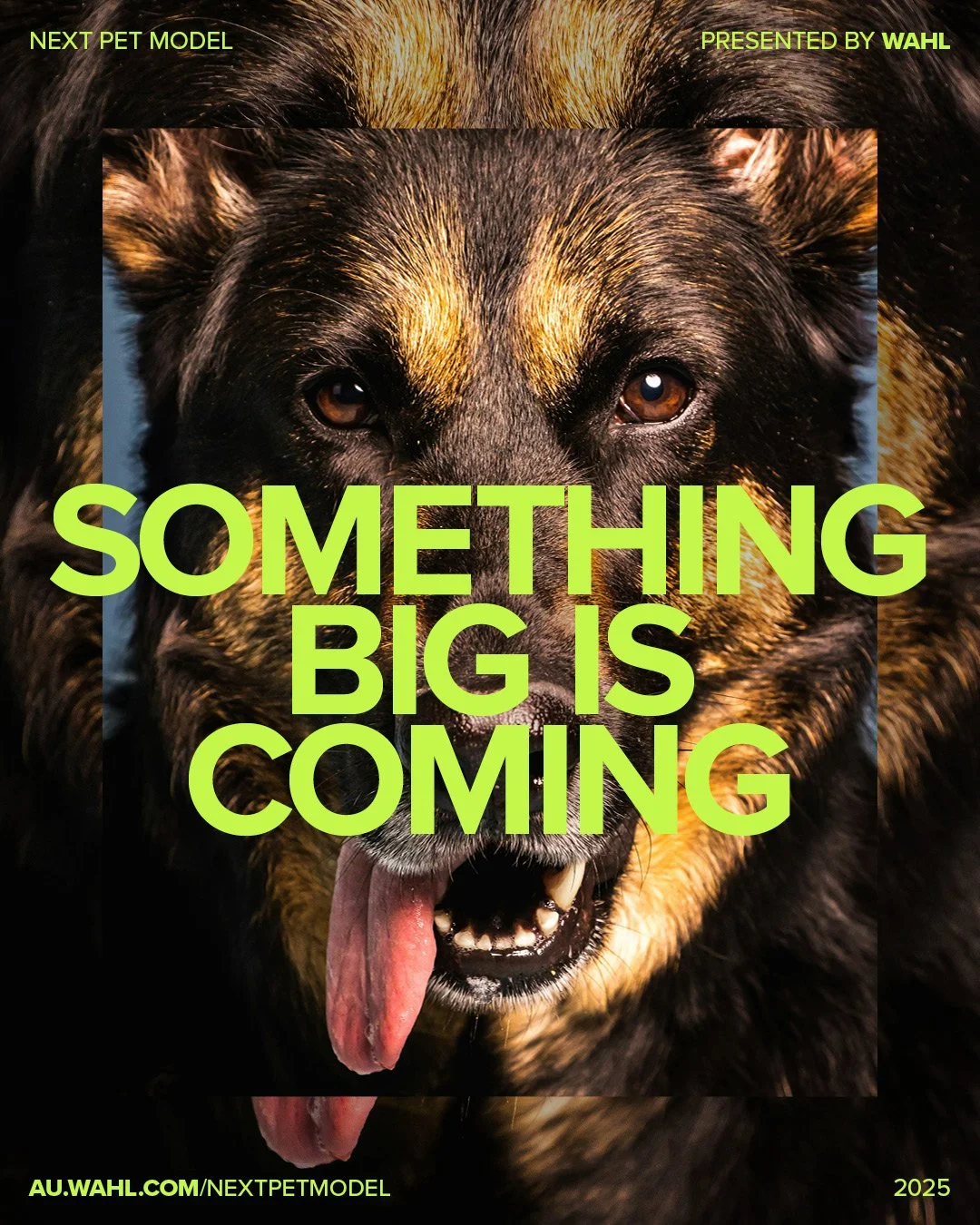 Next Pet Model 2025 - 1080x1350px1.jpg