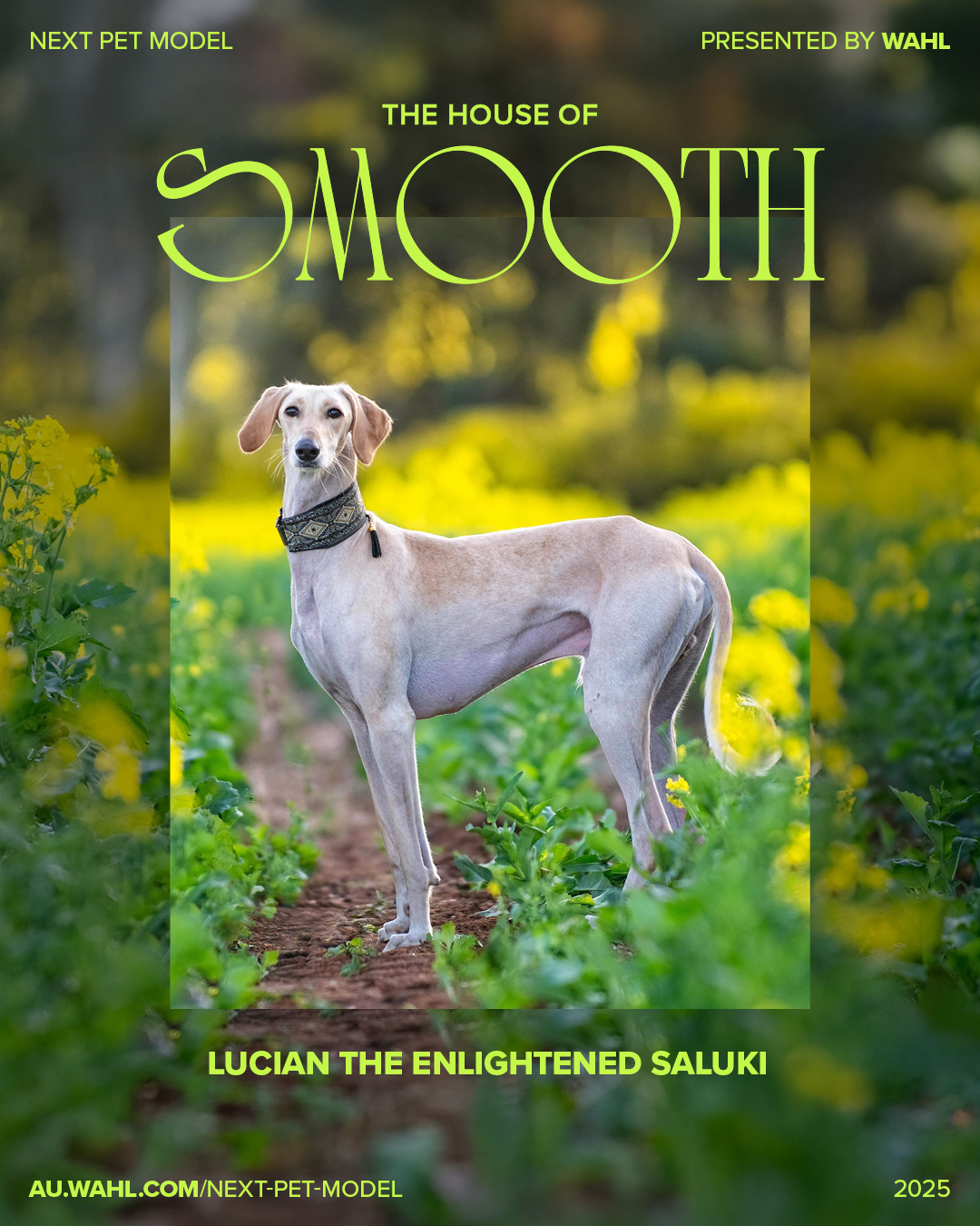 Next Pet Model 2025 - Week 13 - Finalists - 1080x1350px 03.png