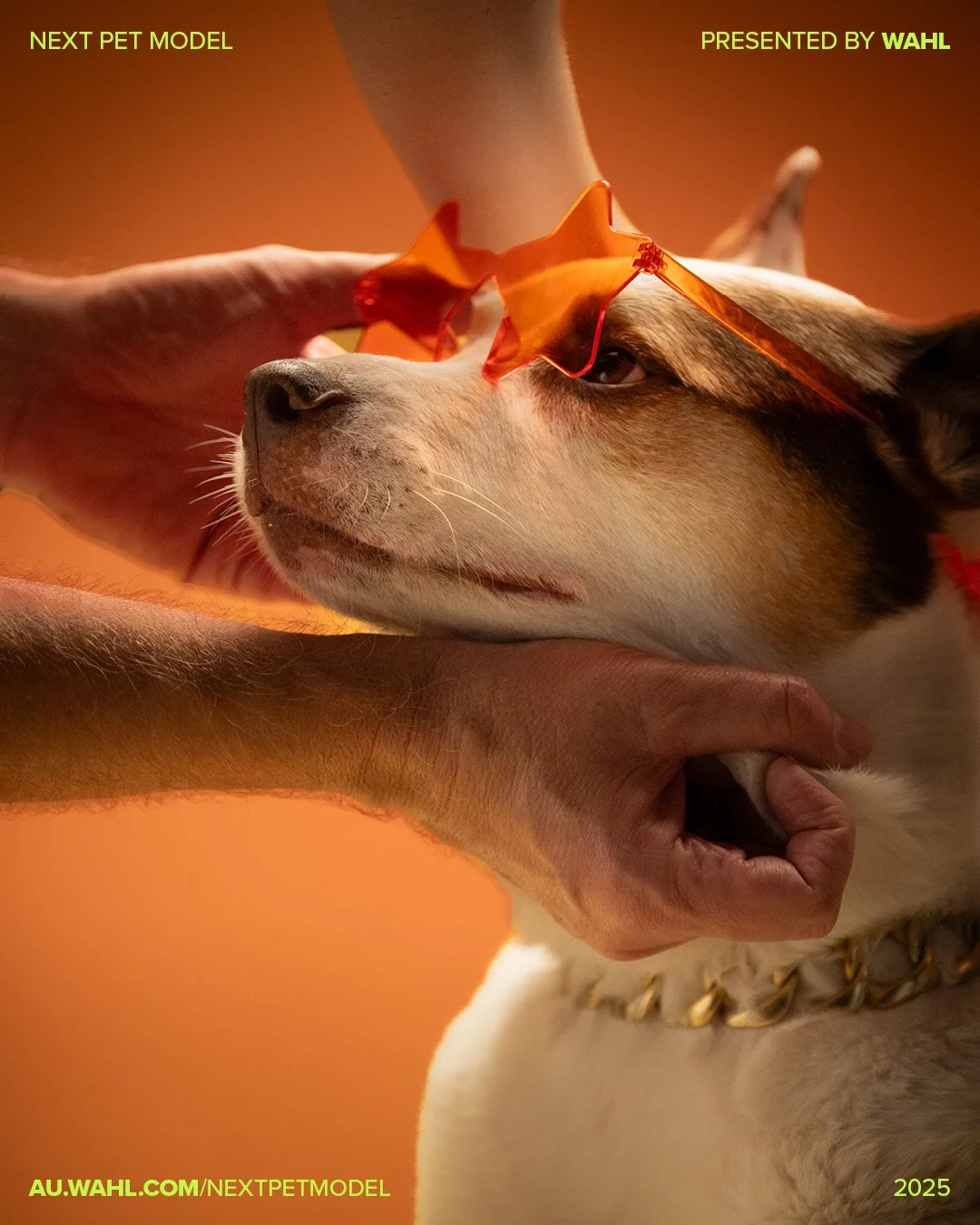 Next Pet Model 2025 - 1080x1350px6.jpg