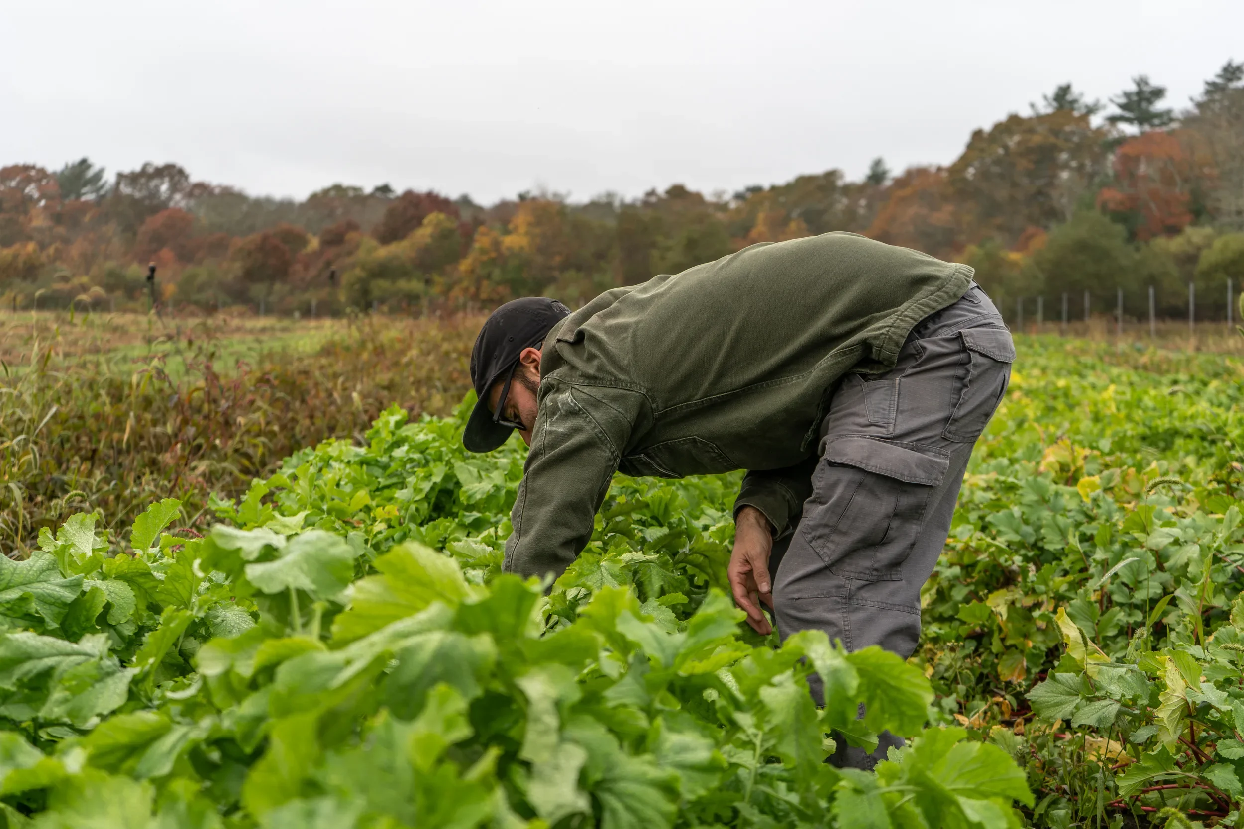 Farmers praise agriculture bill, but aquaculture concerns remain