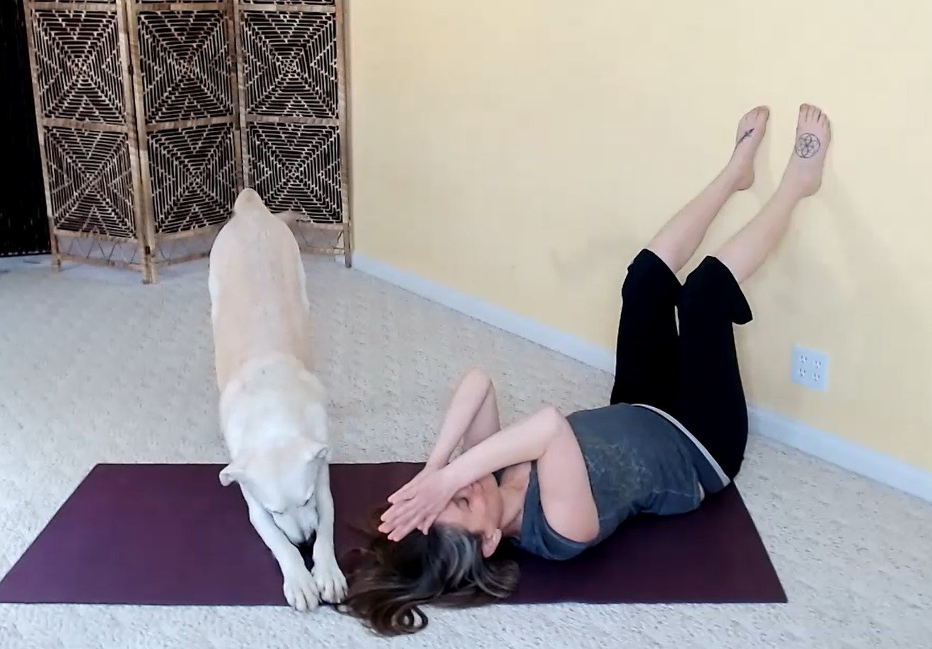 Inside Out Yoga Adjustments