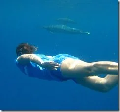 The Freedom of Being: Tails of a Loving Dolphin Encounter