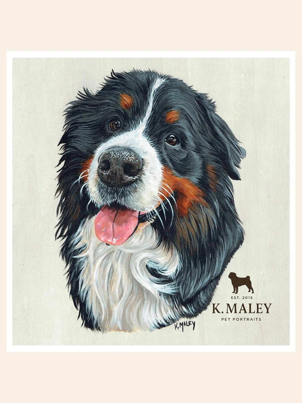 Hugo the Bernese Mountain Dog