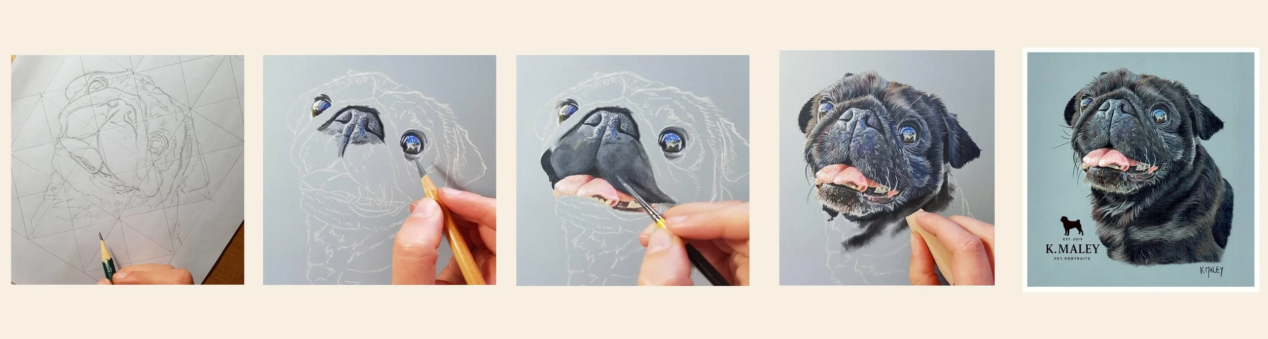 Progression of an artist creating a hyper-realistic portrait of a black pug dog, from initial pencil sketch to a finished colored drawing.