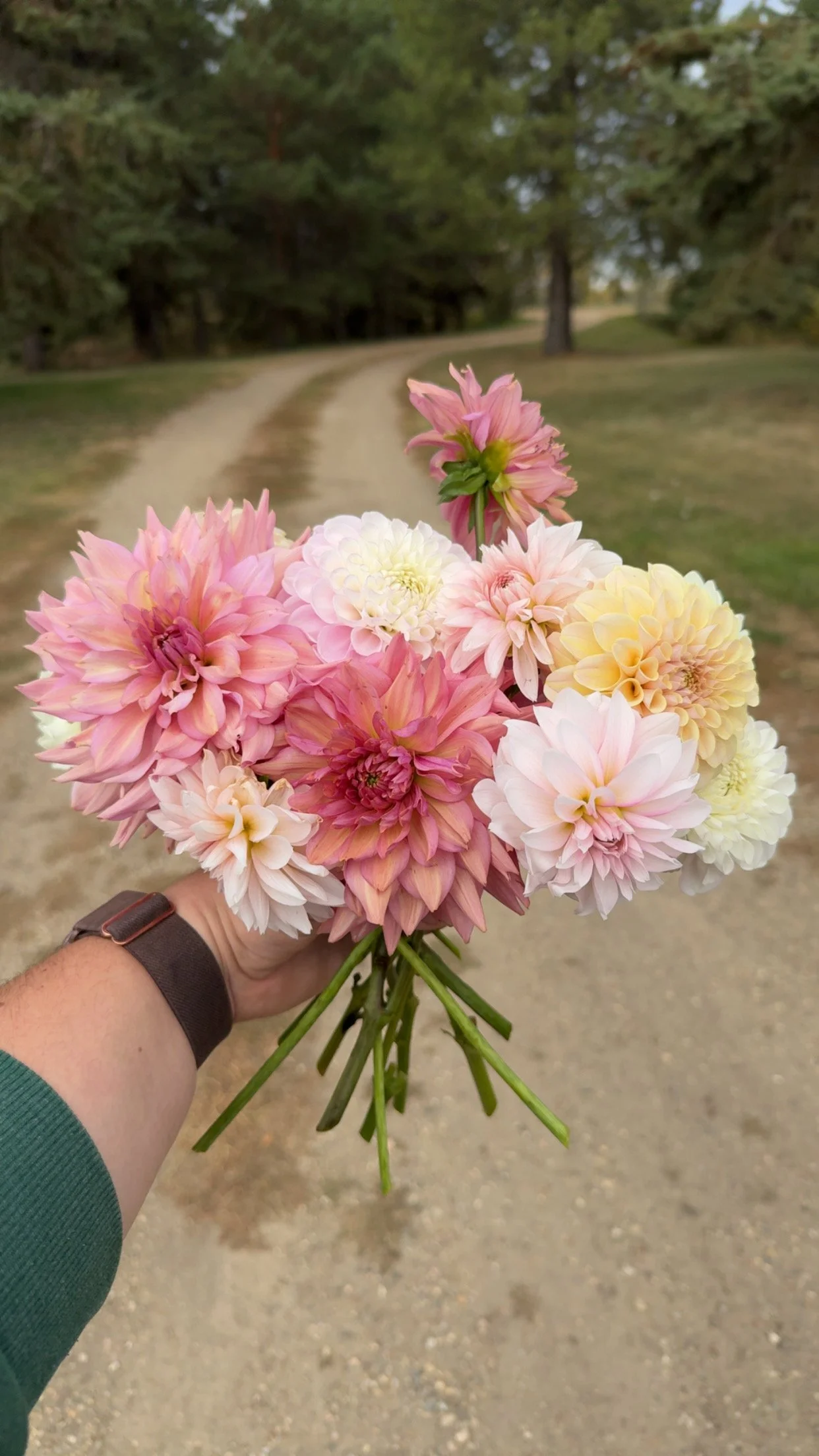 6 Week Bloom Subscription