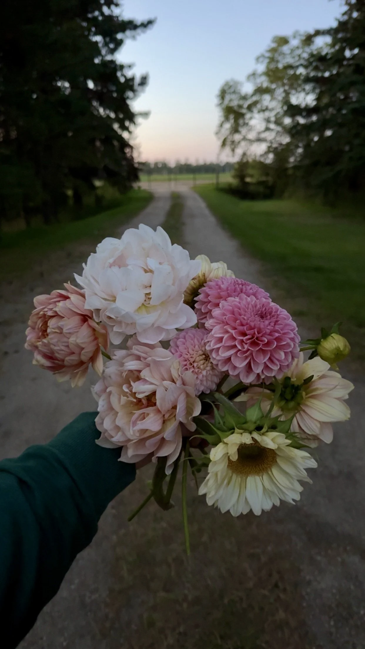 A person holding a bouquet of pink and white flowers in front of a dirt road, with trees and a sunset sky in the background.