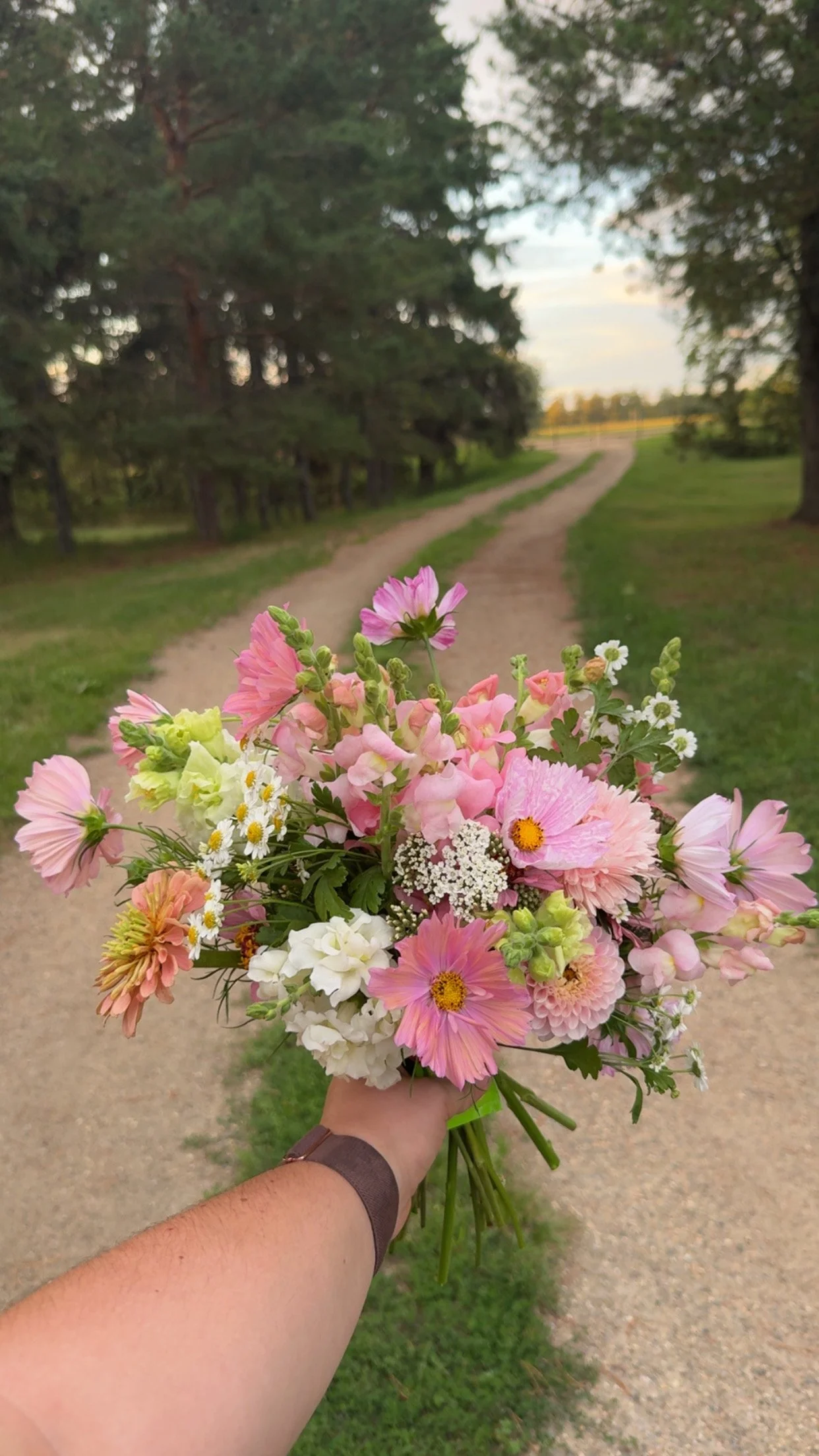 4 Week Bloom Subscription