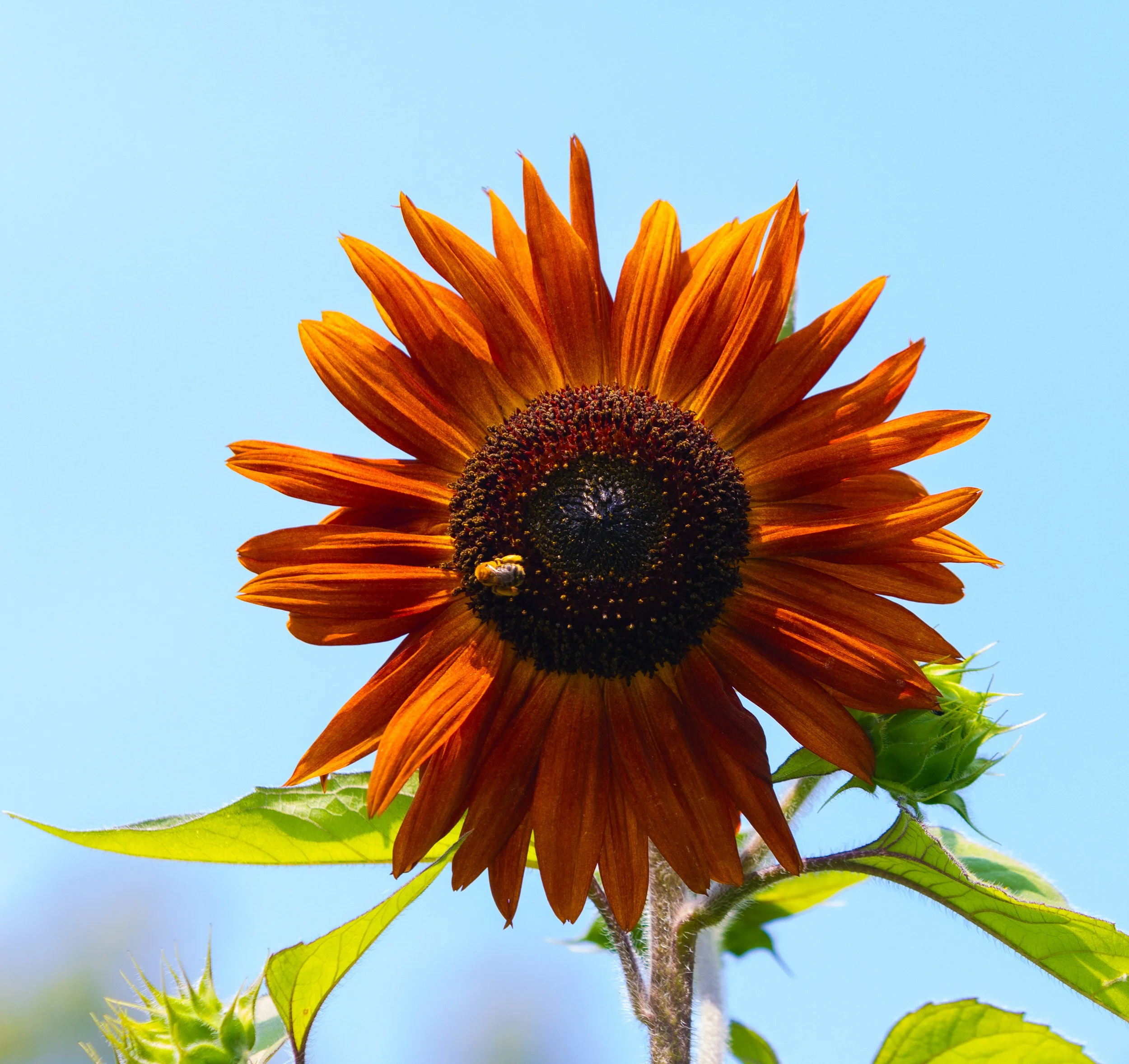 1 - 19 again brighter.jpg