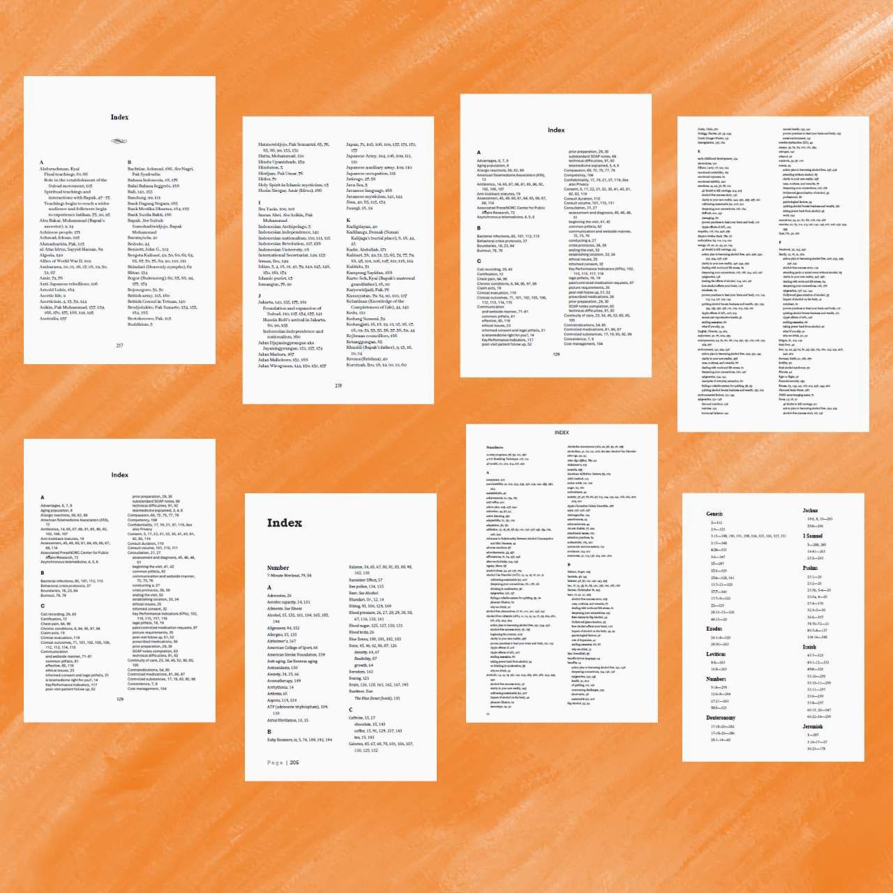 Collection of eight pages from a book or document, featuring alphabetical indexes with topics, numbers, and headings, on an orange background.