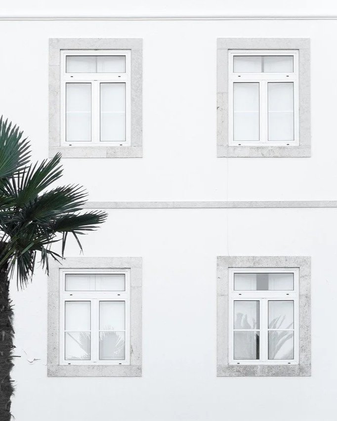 Cuatro ventanas blancas con marco de piedra en muro blanco, con palmera a la izquierda.