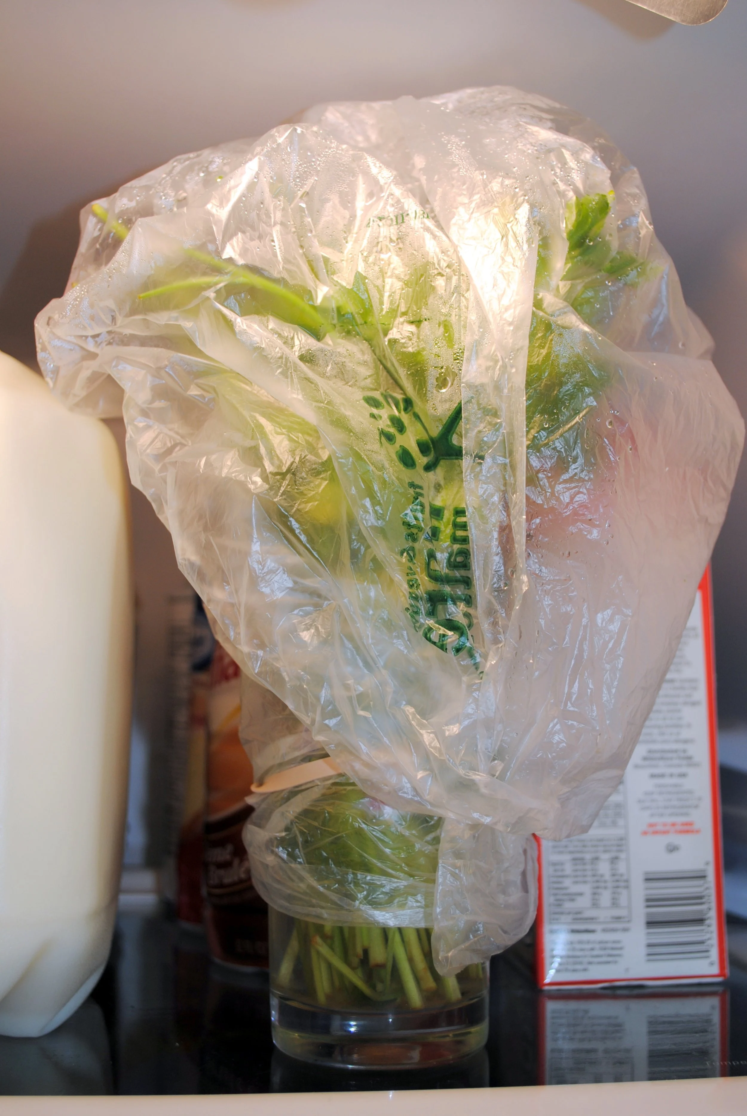 Today's Tip: Long Live the Parsley!