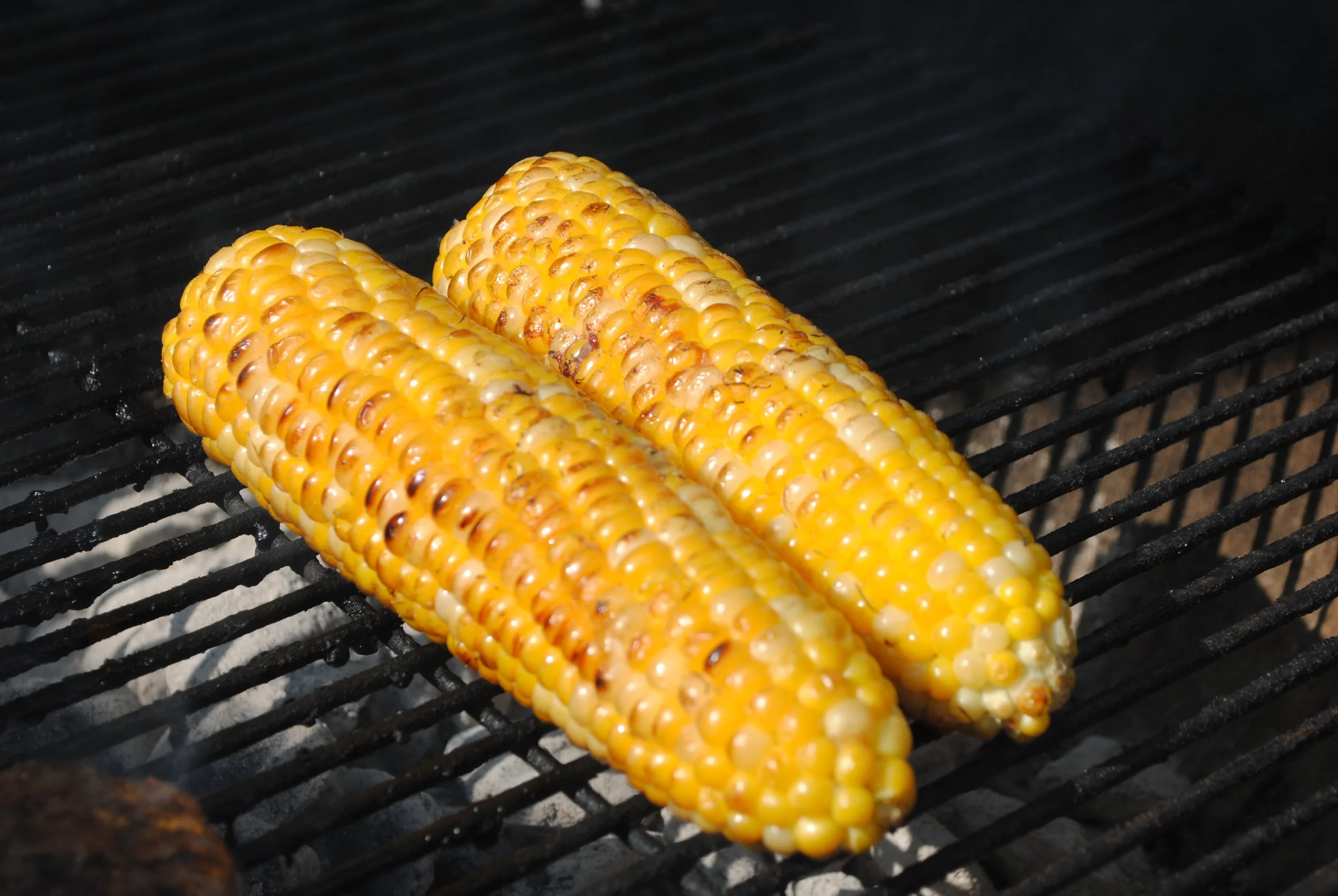 Two-For Tuesday: Microwaved Corn on the Cob and Grilled Corn on the Cob