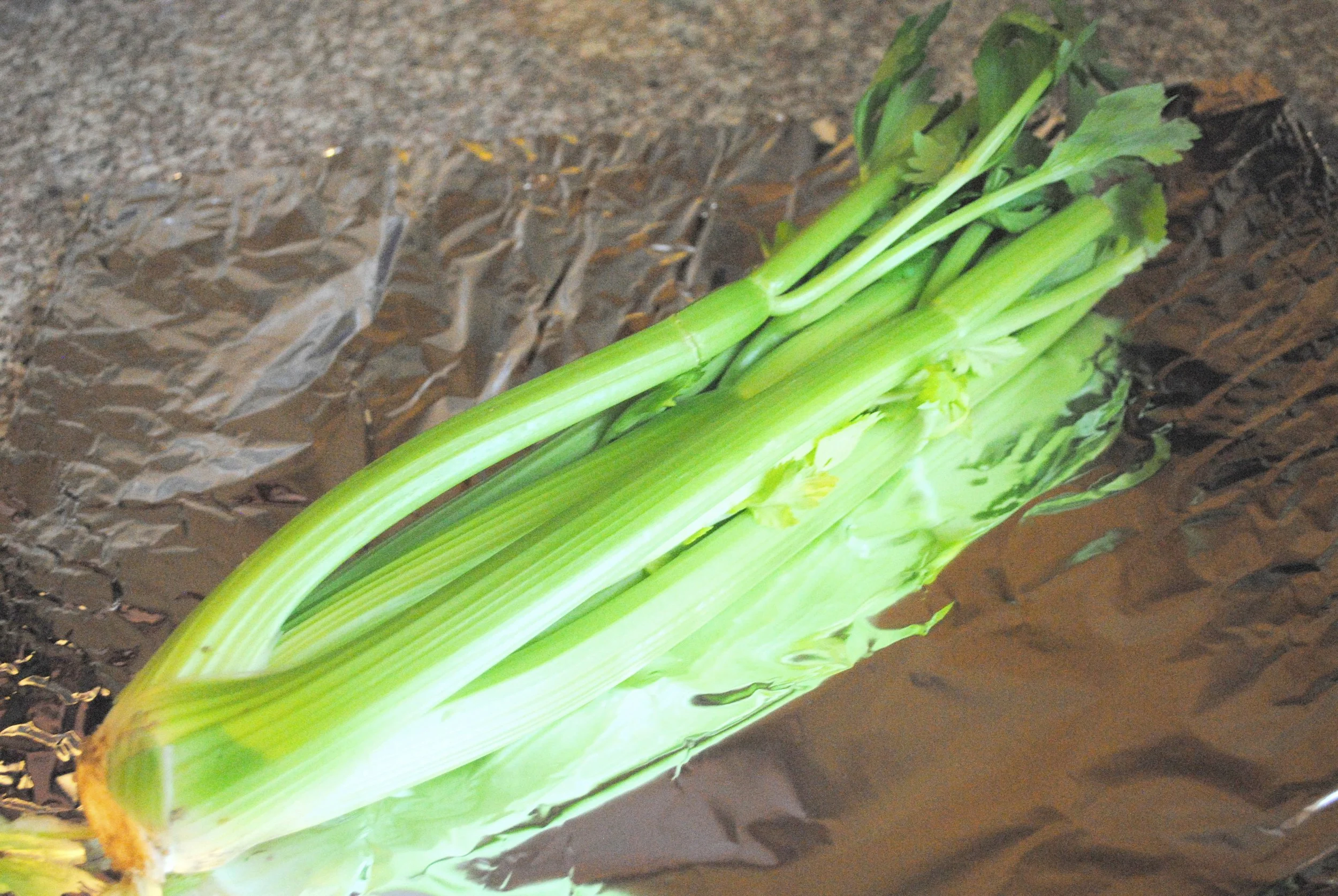 Today's Tip: Double the Life of Your Celery