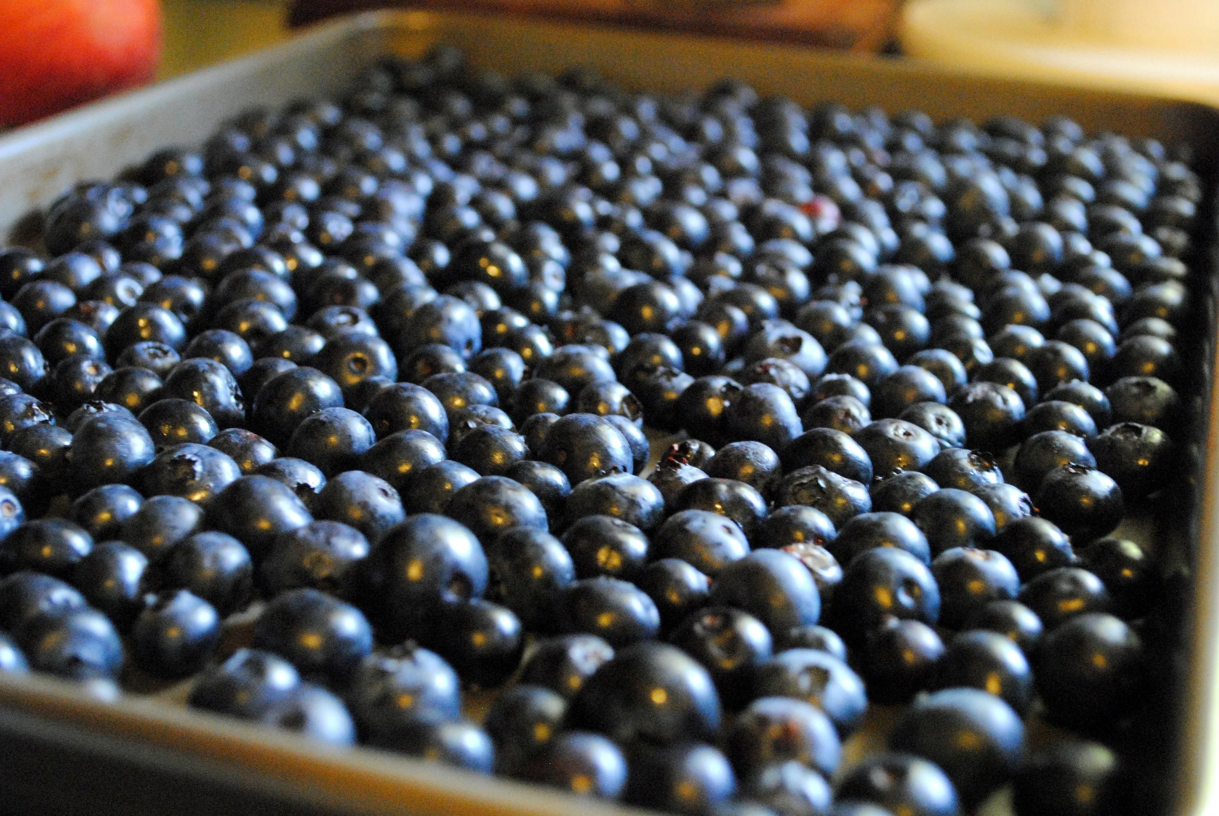 Tip: How to Freeze Berries