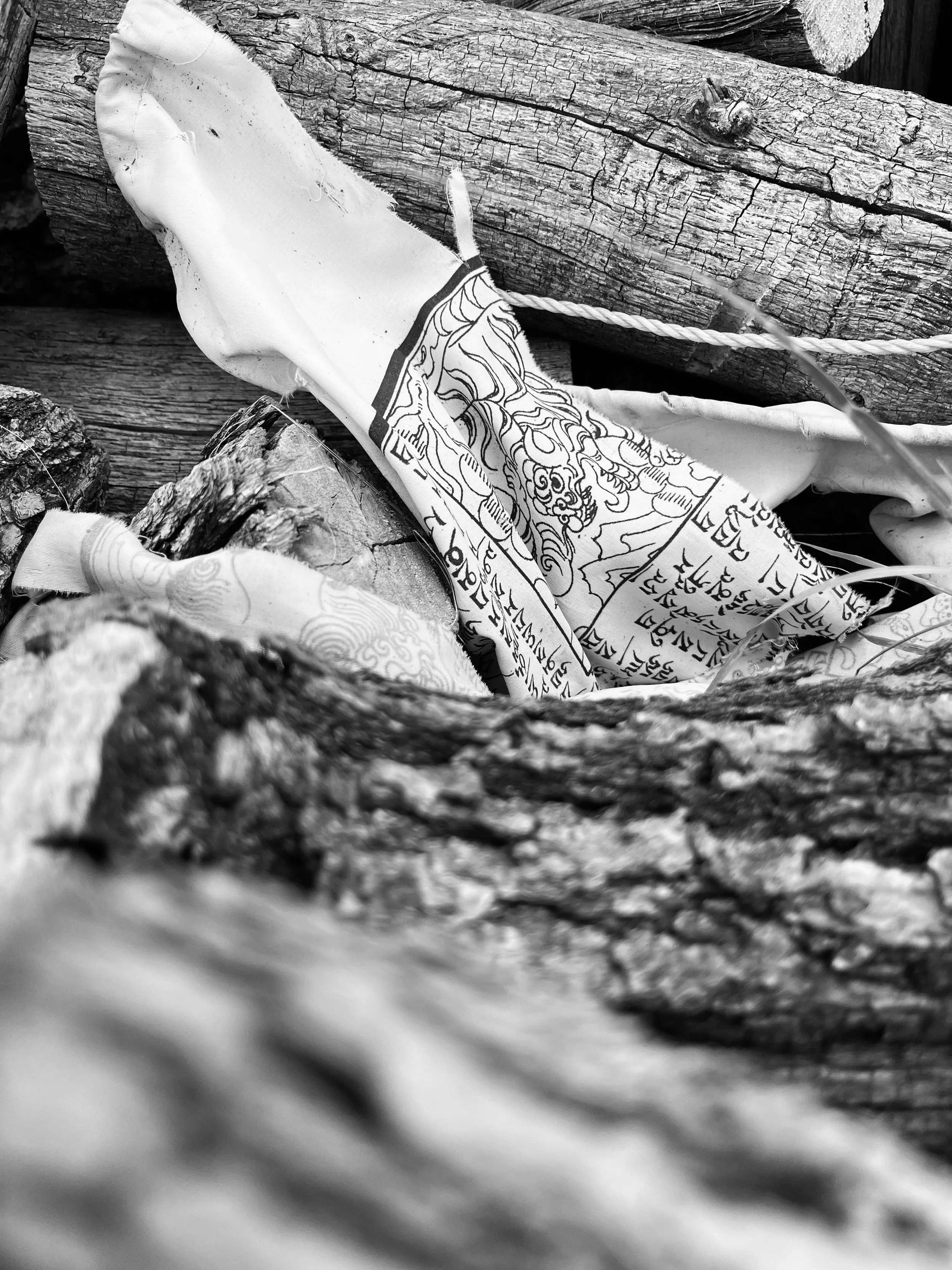 A close-up of a crumpled piece of paper with Asian writing and artwork, resting on and surrounded by rough, weathered wooden logs.