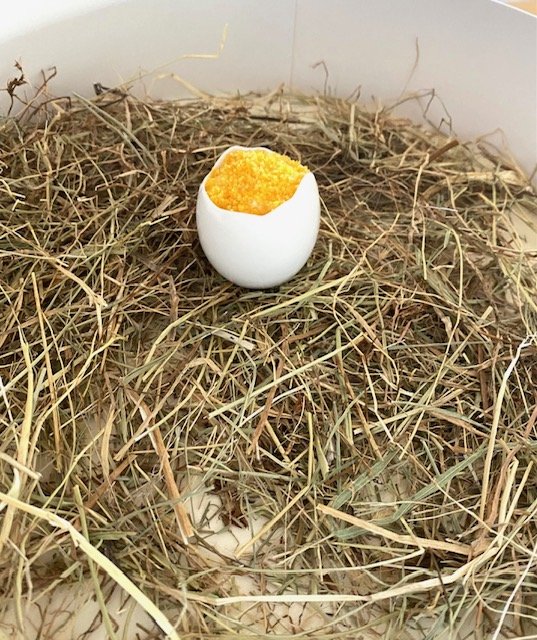 A small white eggshell with a yellow chick inside, placed in a nest made of hay or straw.