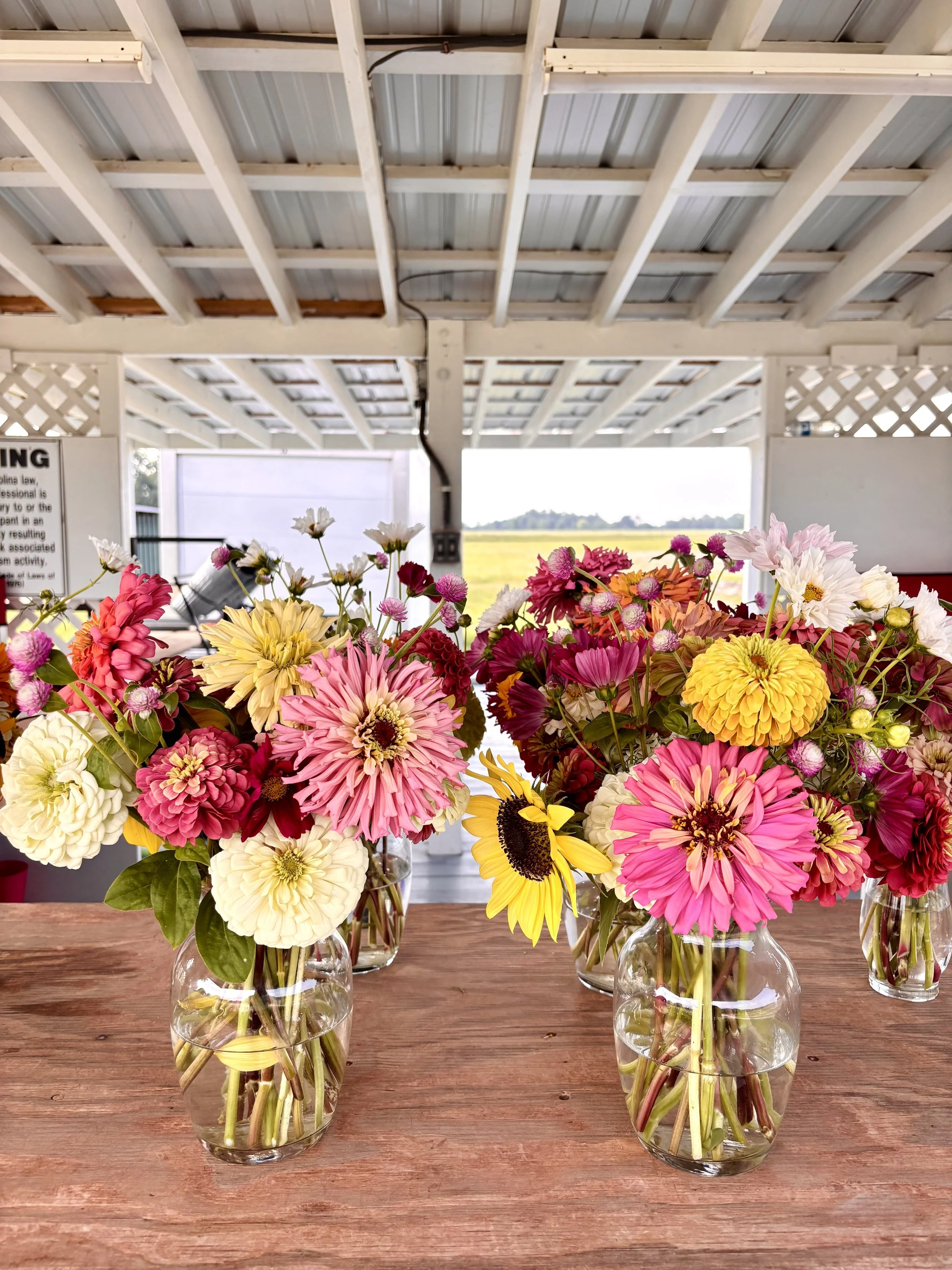 U-Pick flowers near Columbia  SC