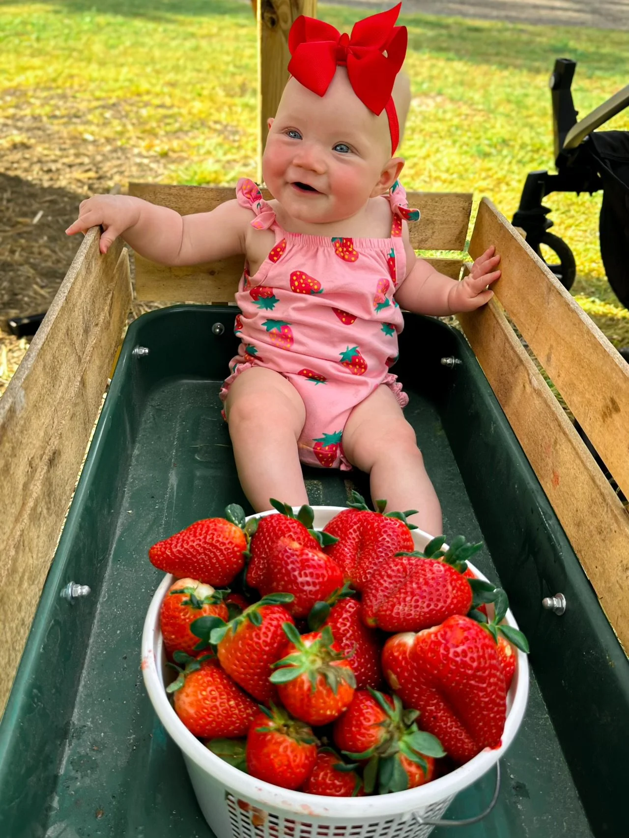 Cute kid dressed in a strawberry outfit with a big bucket of strawberries from Mckenzie Farms.