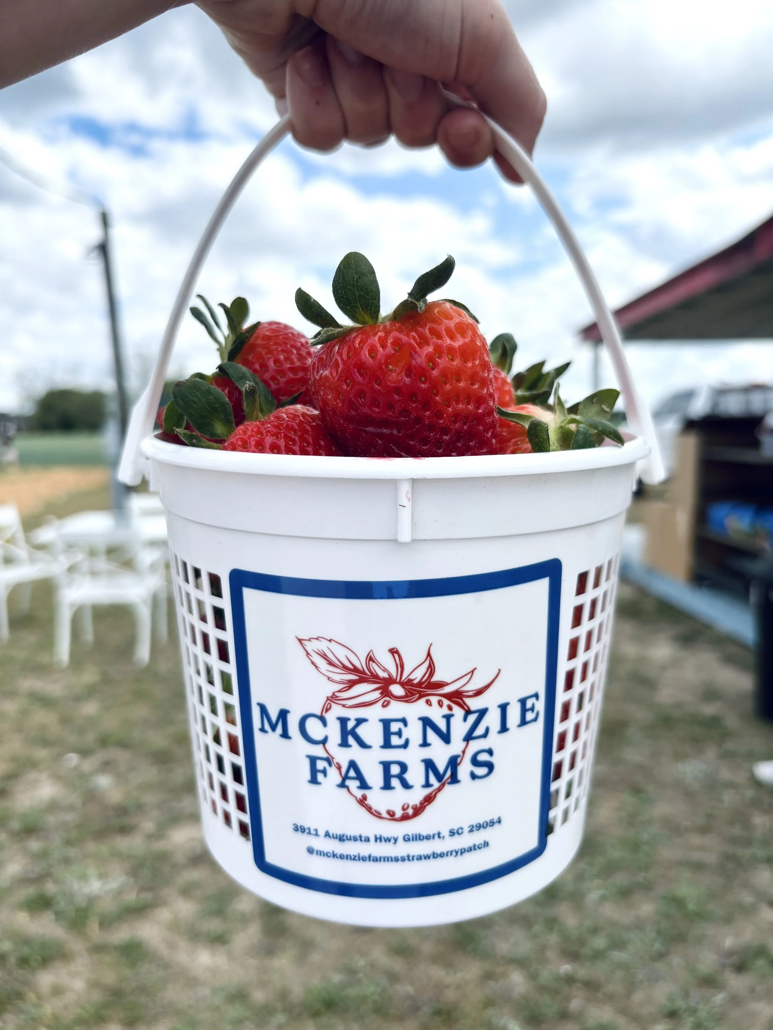 U-Pick Strawberry 1/2 Gallon