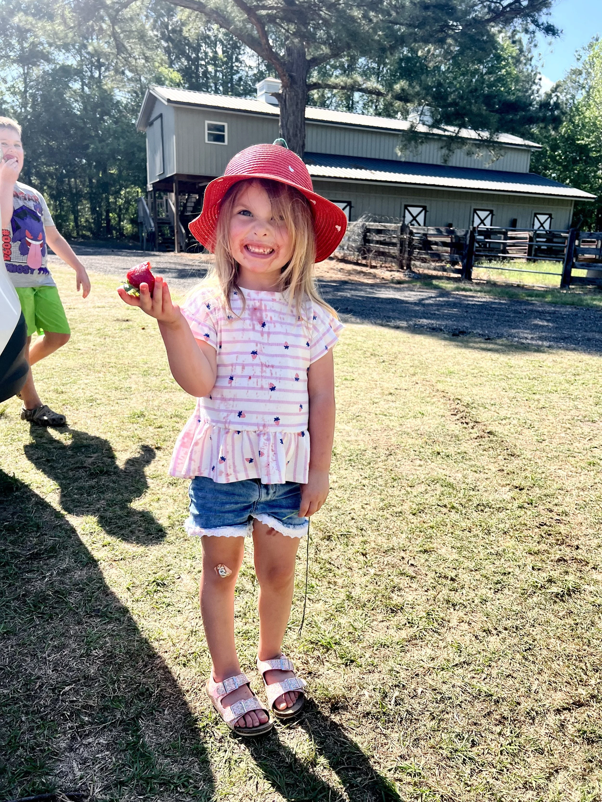 A young girl is enjoying fresh picked strawberries at McKenzie Farms in South Carolina.