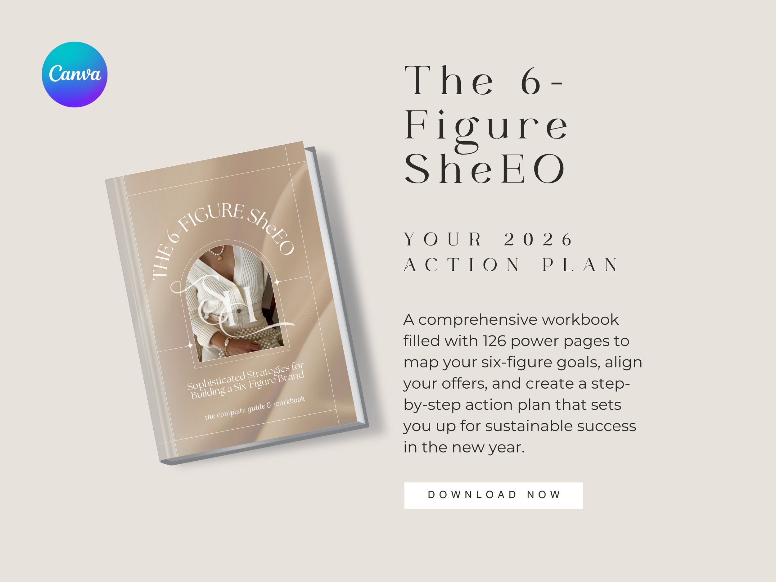 The 6-Figure SheEO Strategy Workbook