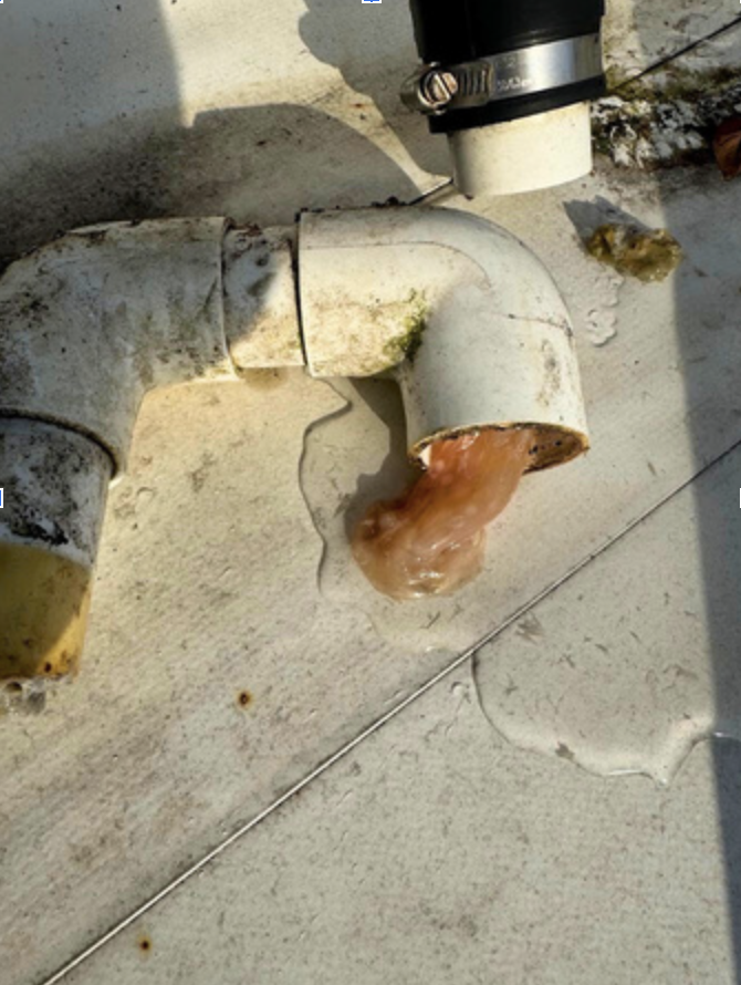 Screenshot 2025-12-28 at 3.03.19 PM.png