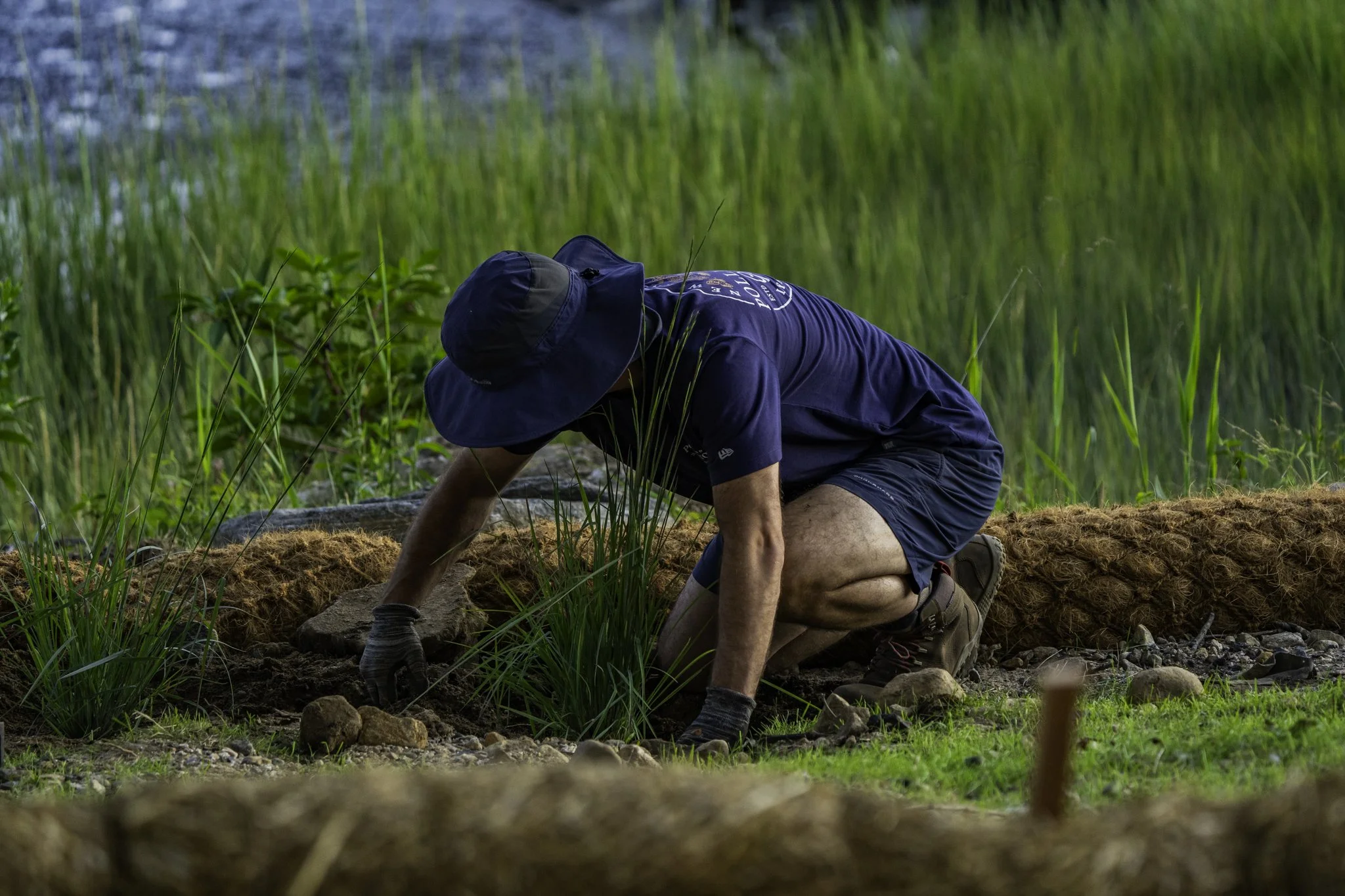 A person kneeling and planting grass or small plants in a garden on a sunny day.