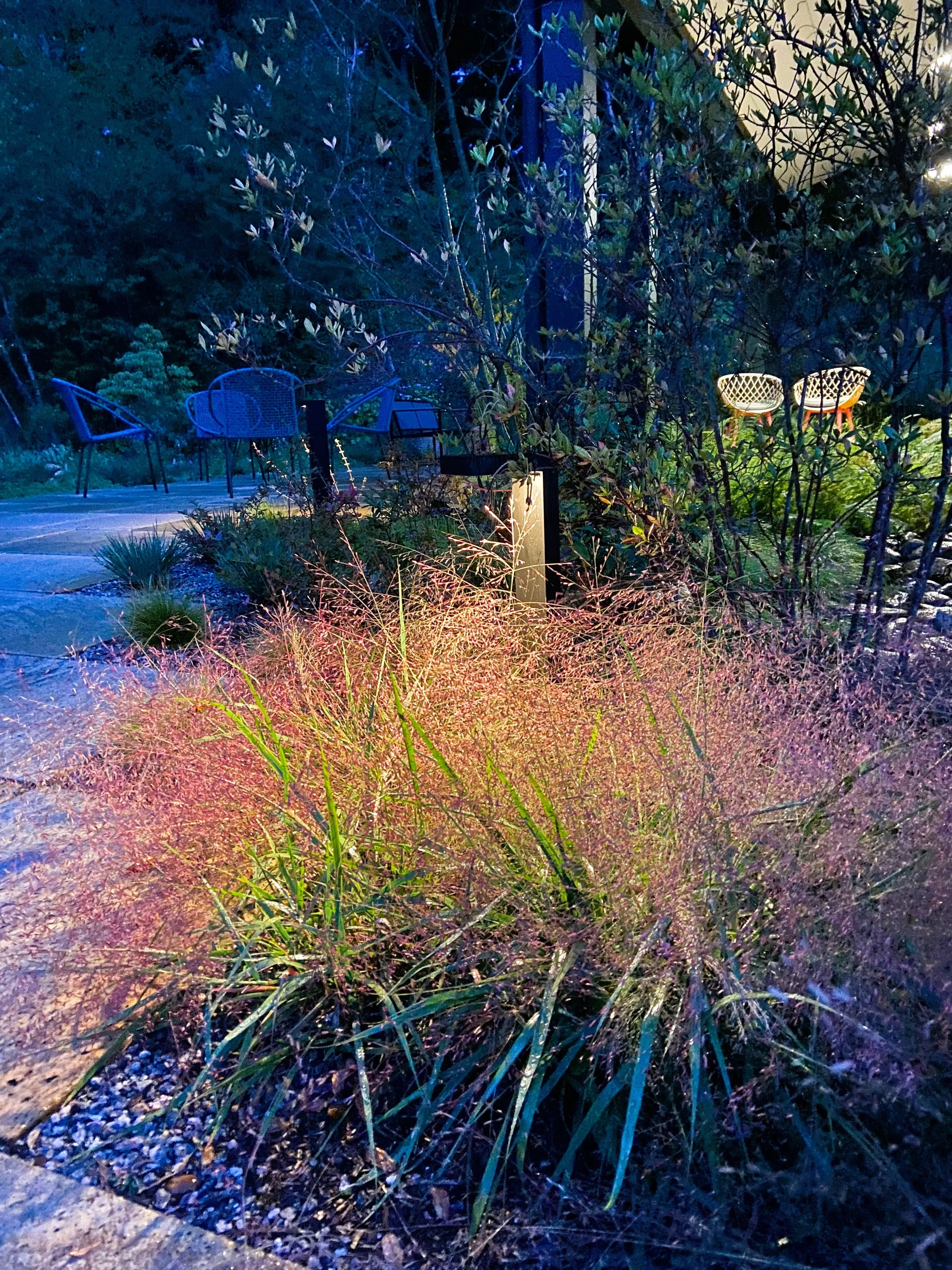 Nighttime garden with illuminated ornamental grasses and outdoor seating, including blue chairs and decorative white chairs.