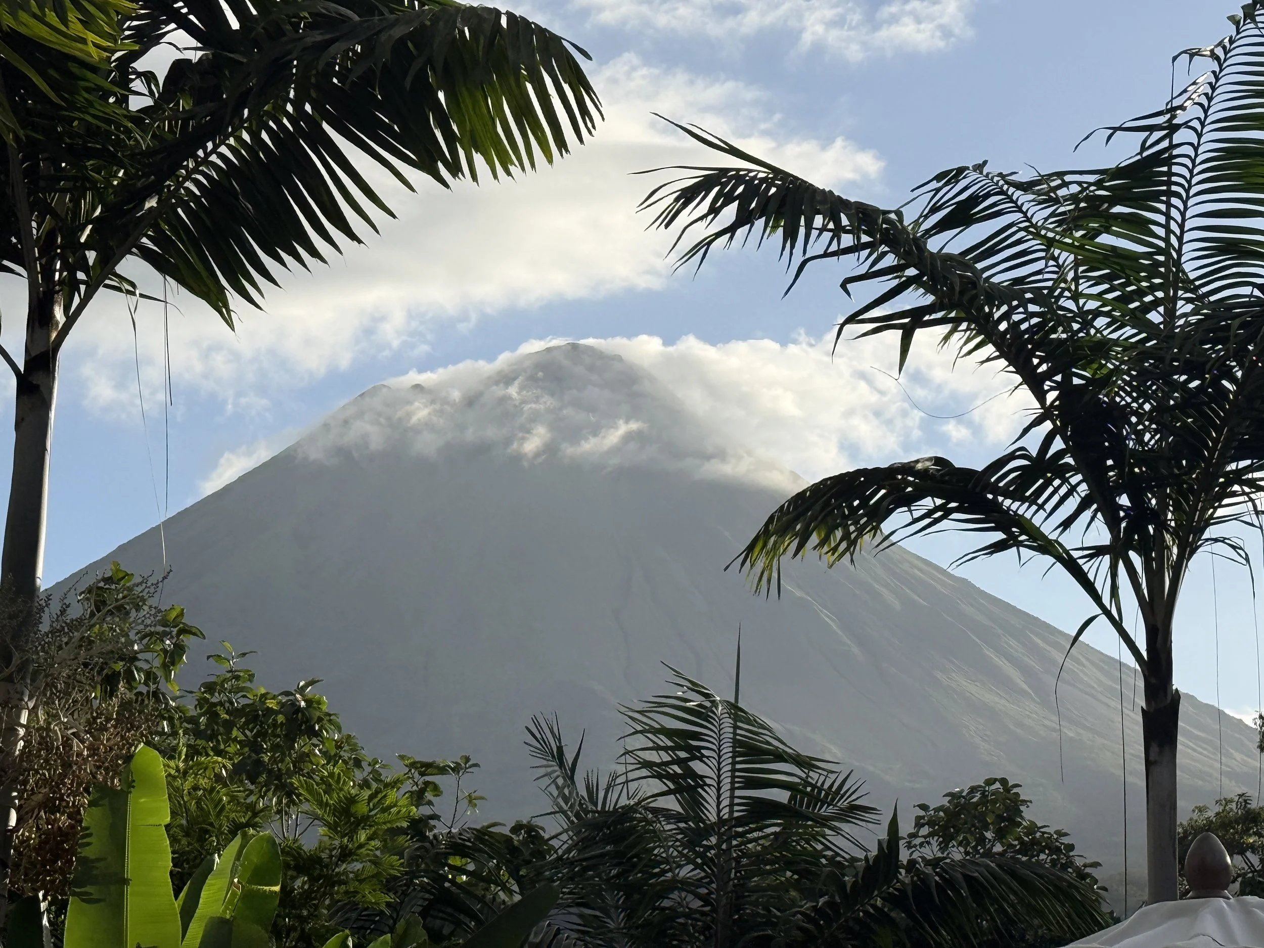 The Invisible Poetry of Life