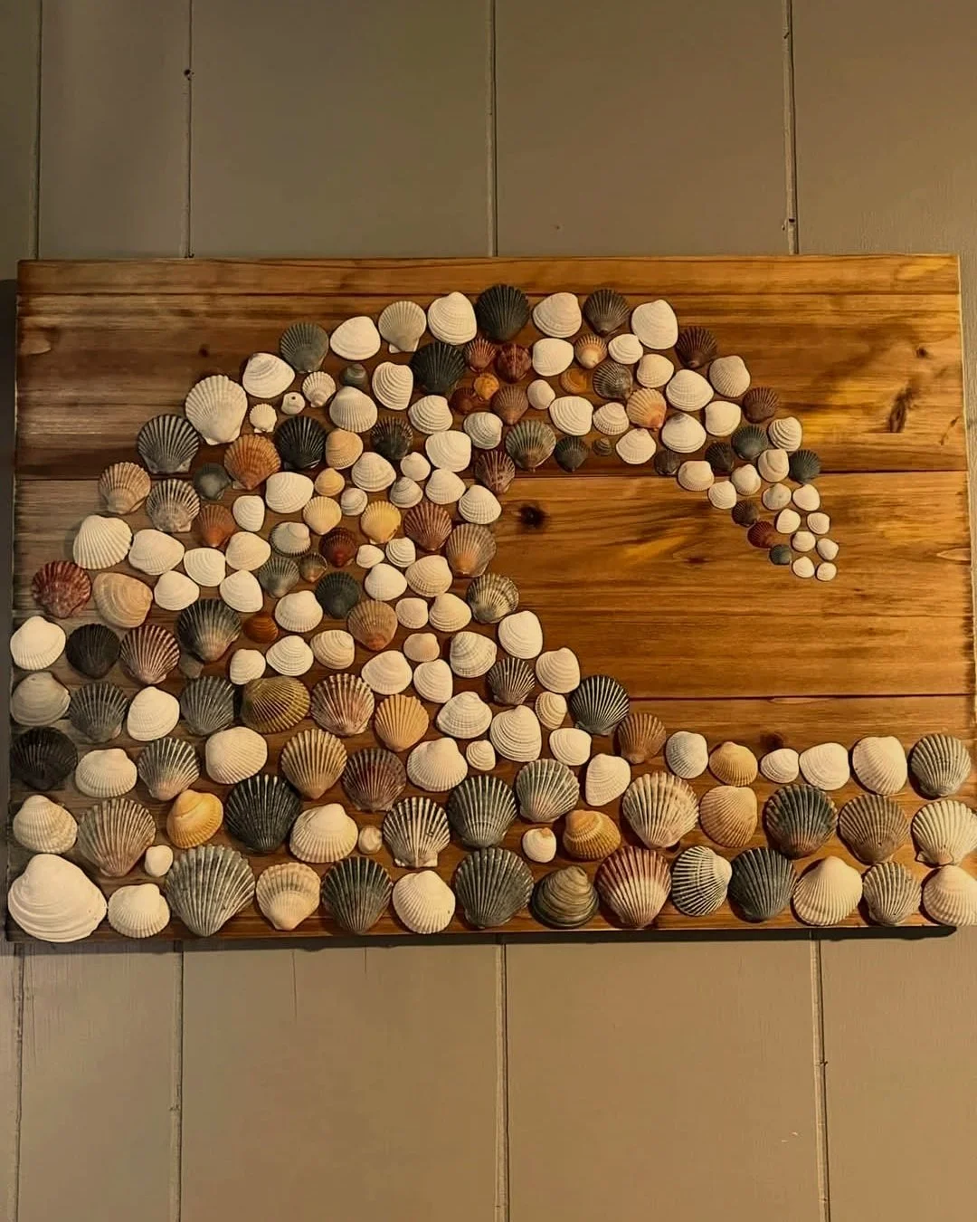Decorative wall art made of various seashells arranged on a wooden panel.