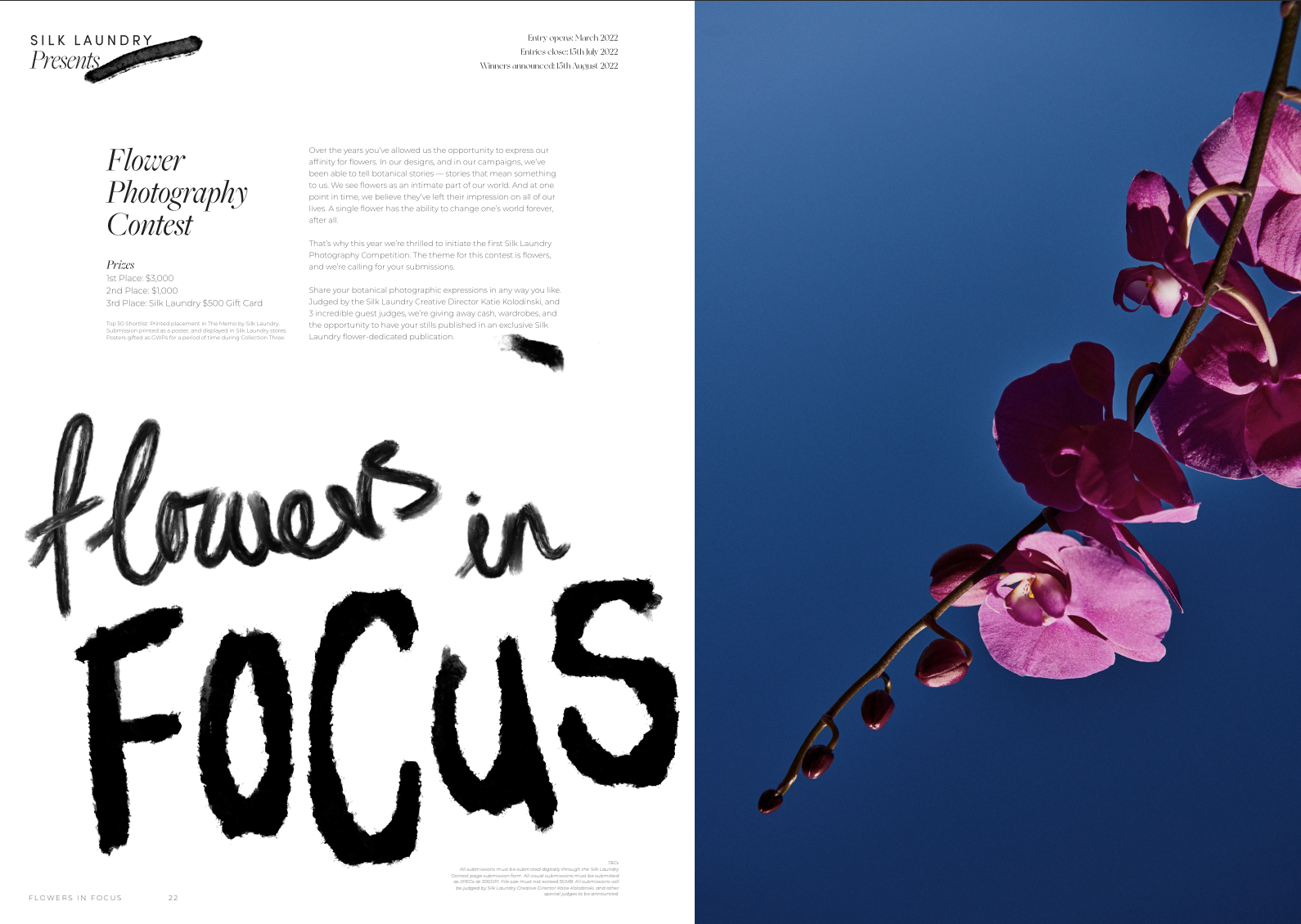 Screenshot 2026-02-10 at 16.06.33.png