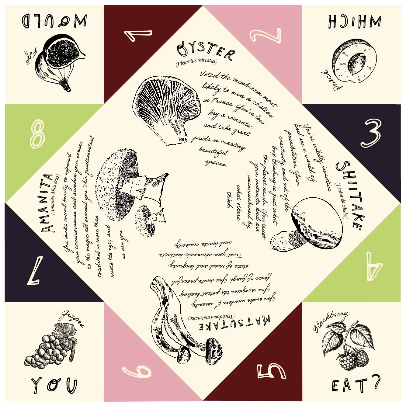 FORTUNE-TELLERS [Recovered]-02-01.jpg