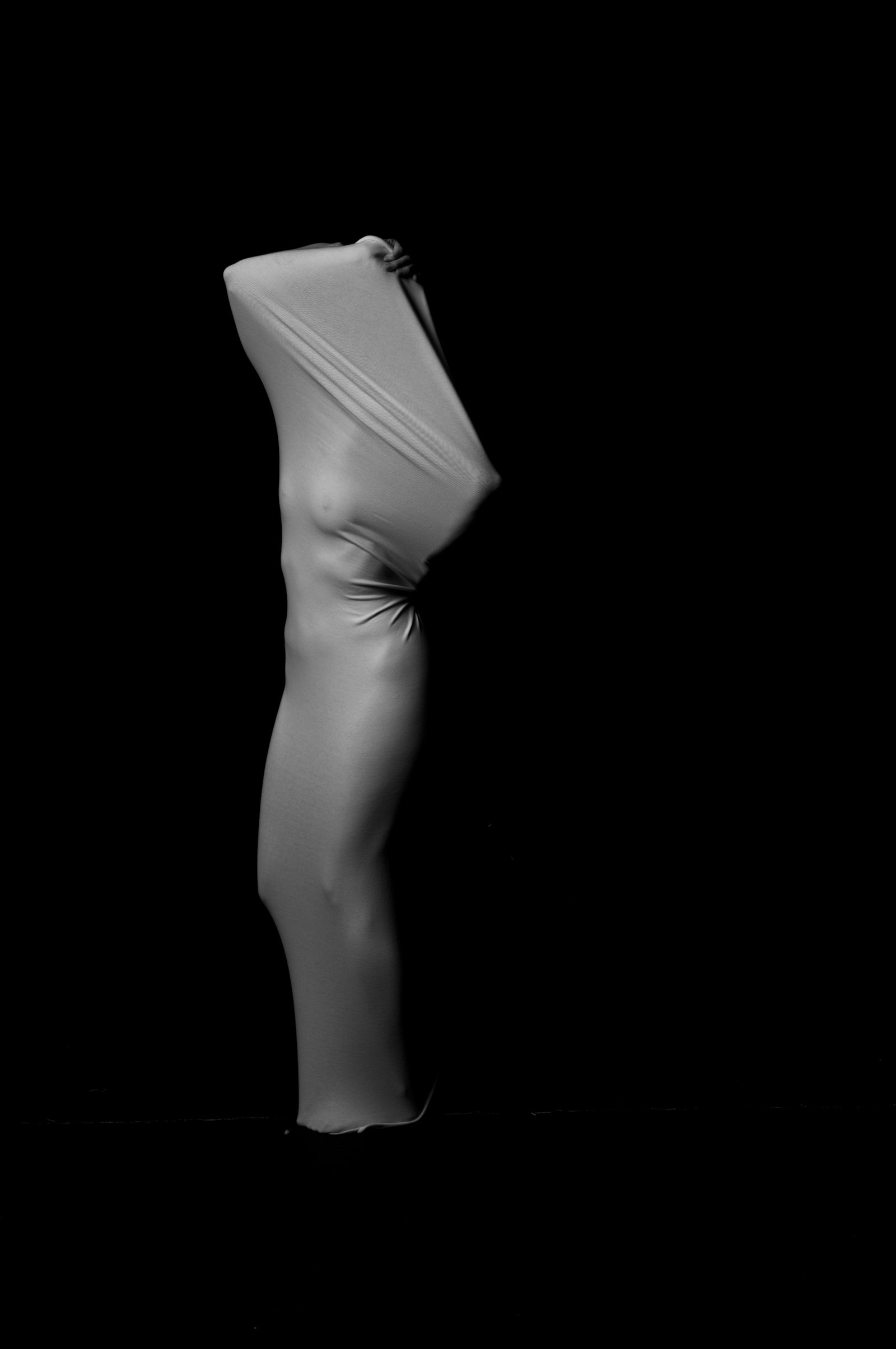 Sculptural portrait capturing a dynamic and complex form through a minimalist lens.