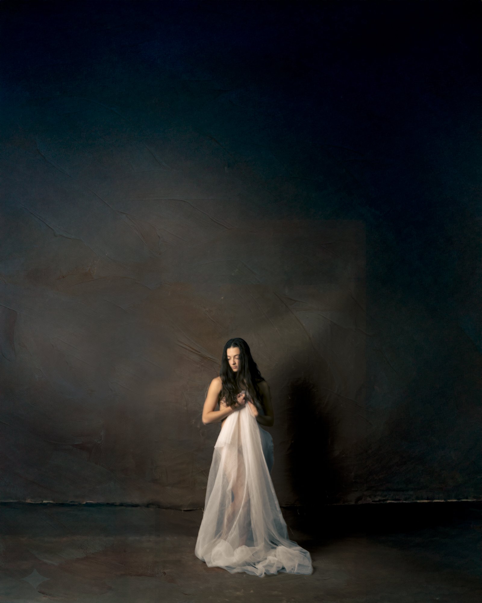 Fine art photography from the Painterly series, emphasizing texture and mood over sharp detail.