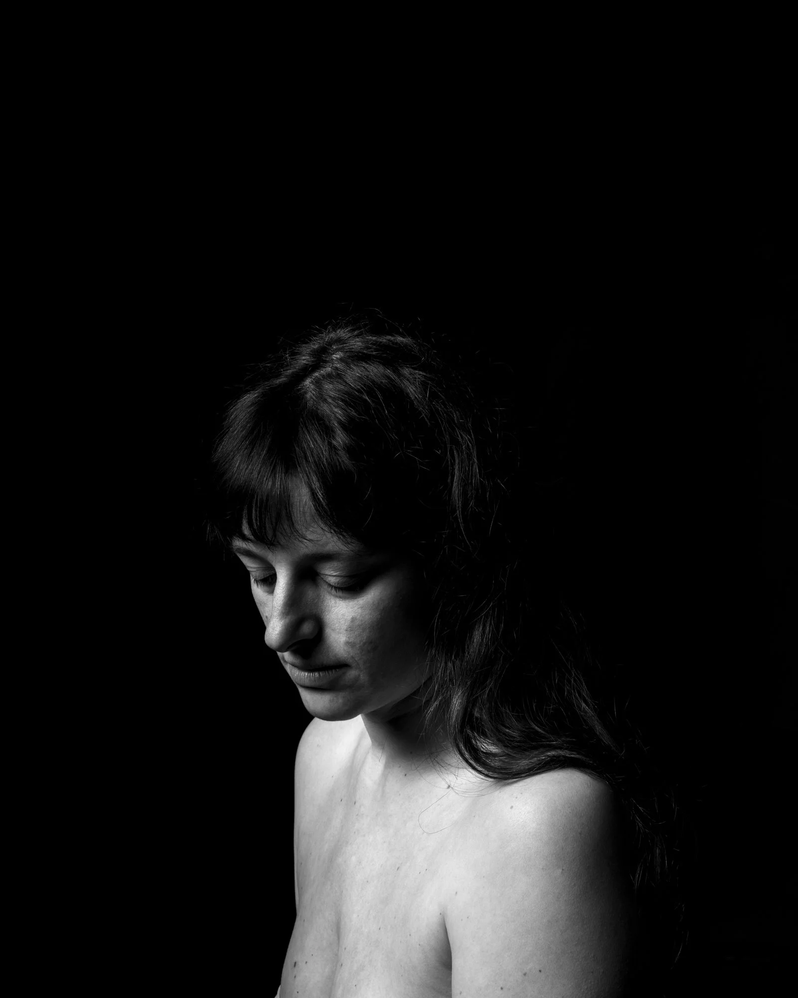 Elegant painterly portrait study with light catching the subtle contours of hair and skin.