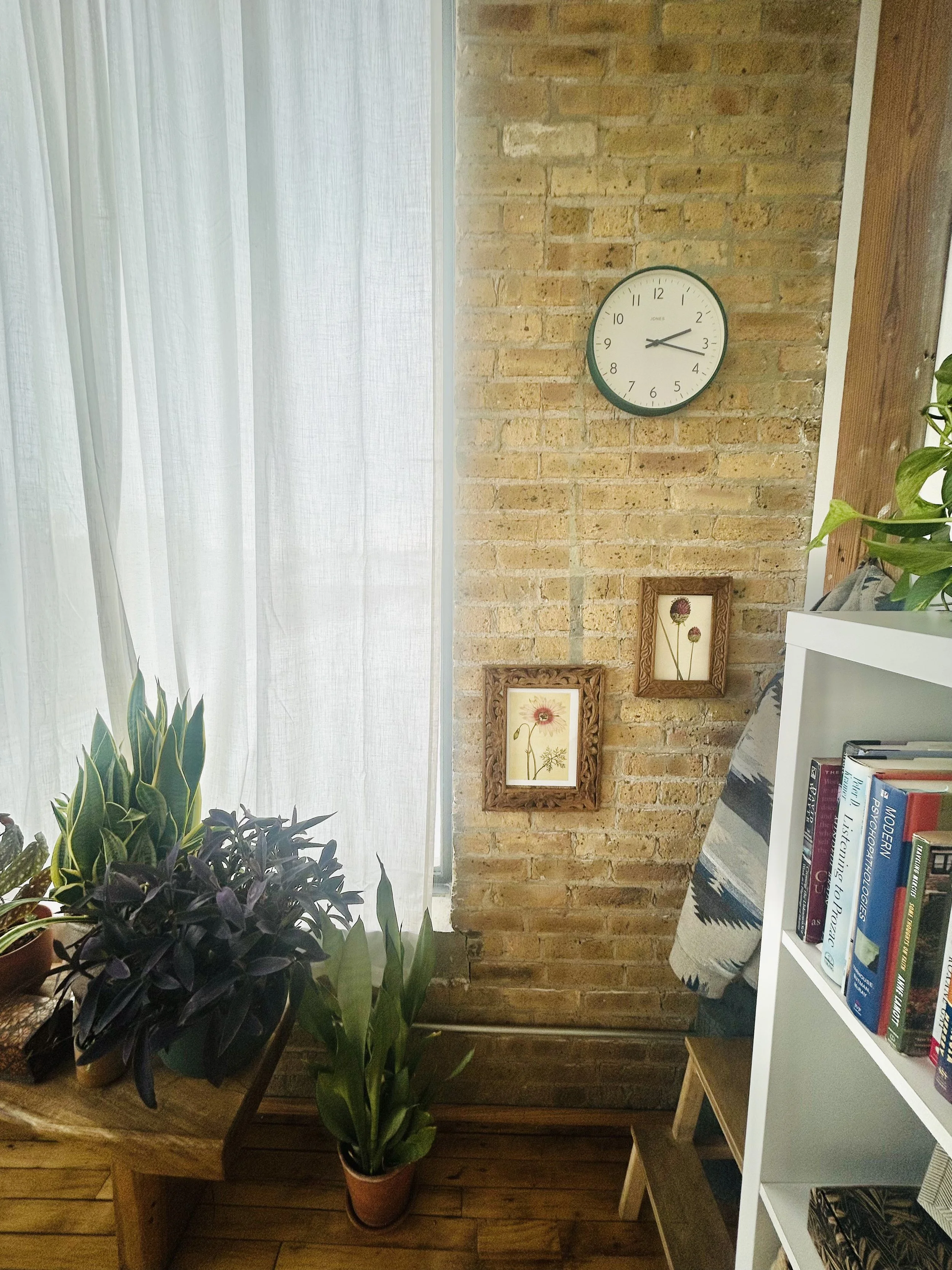 Sunlit corner of a room with a brick wall, a round wall clock showing 2:16, framed botanical art, potted plants on a wooden surface, and a white bookshelf filled with books.