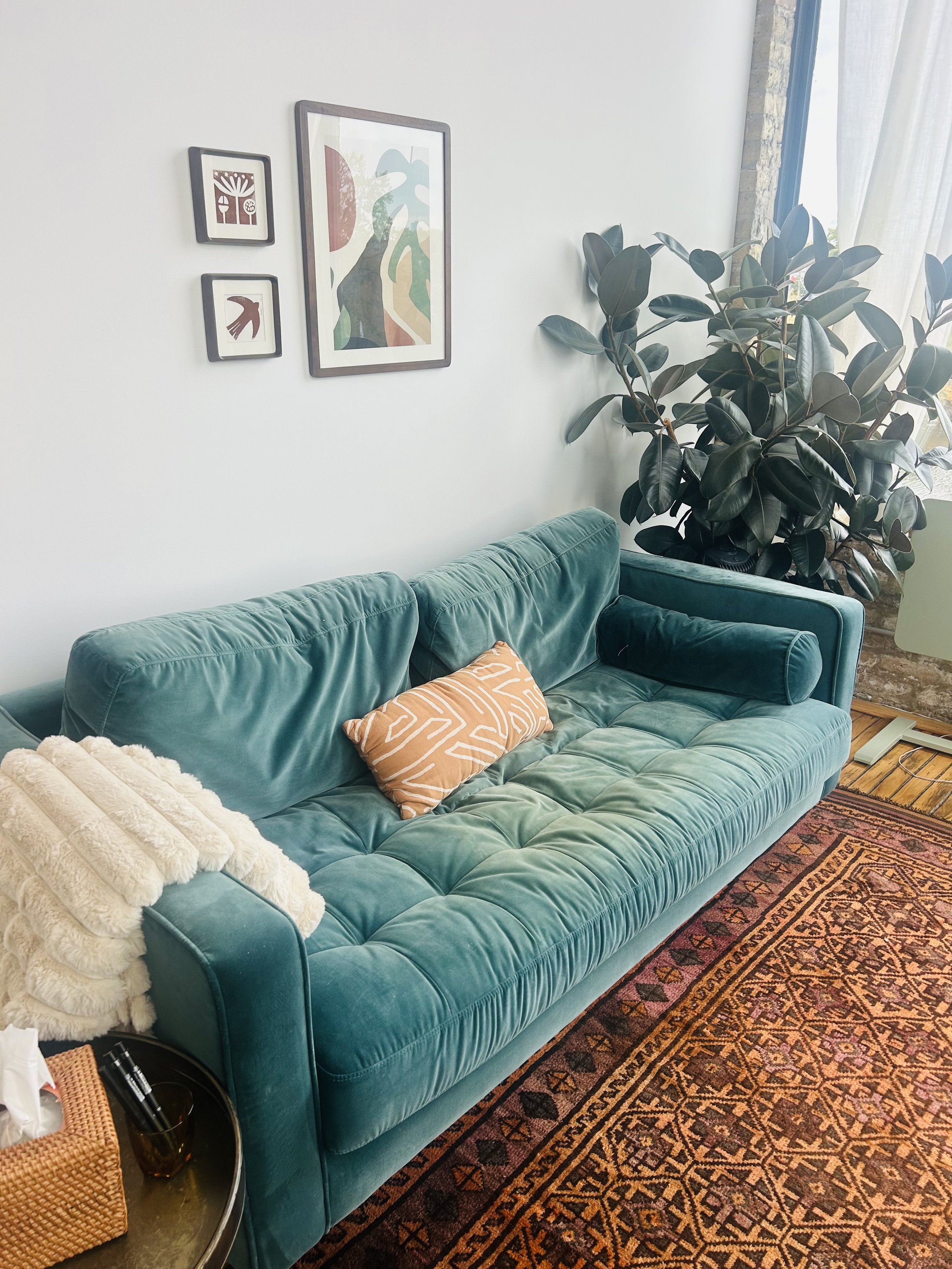 Living room with a teal velvet couch, orange patterned pillow, beige furry blanket, large potted plant near window, framed abstract wall art, and a patterned rug.