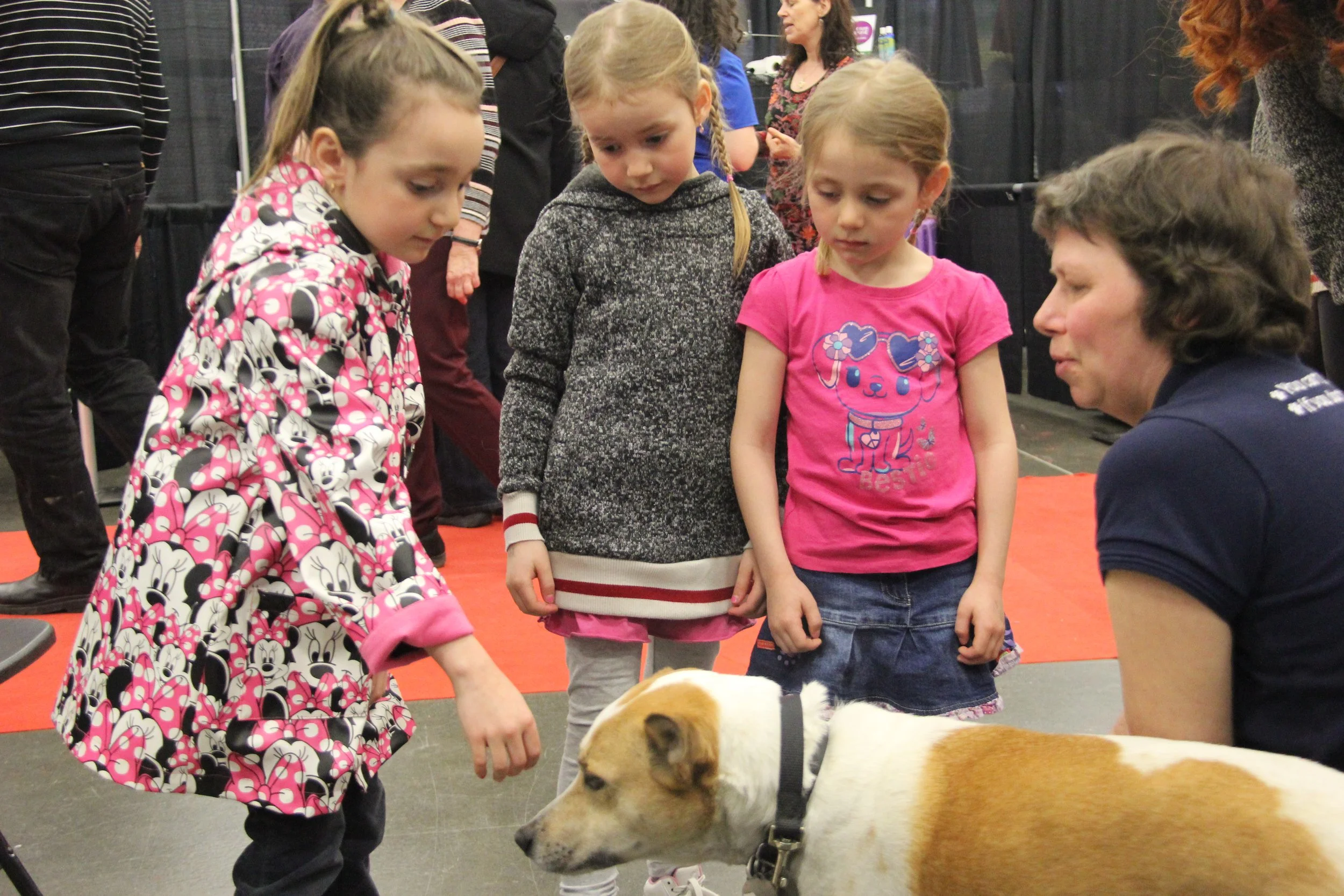 How to Approach an Unfamiliar Dog: A Safety Guide for All Ages