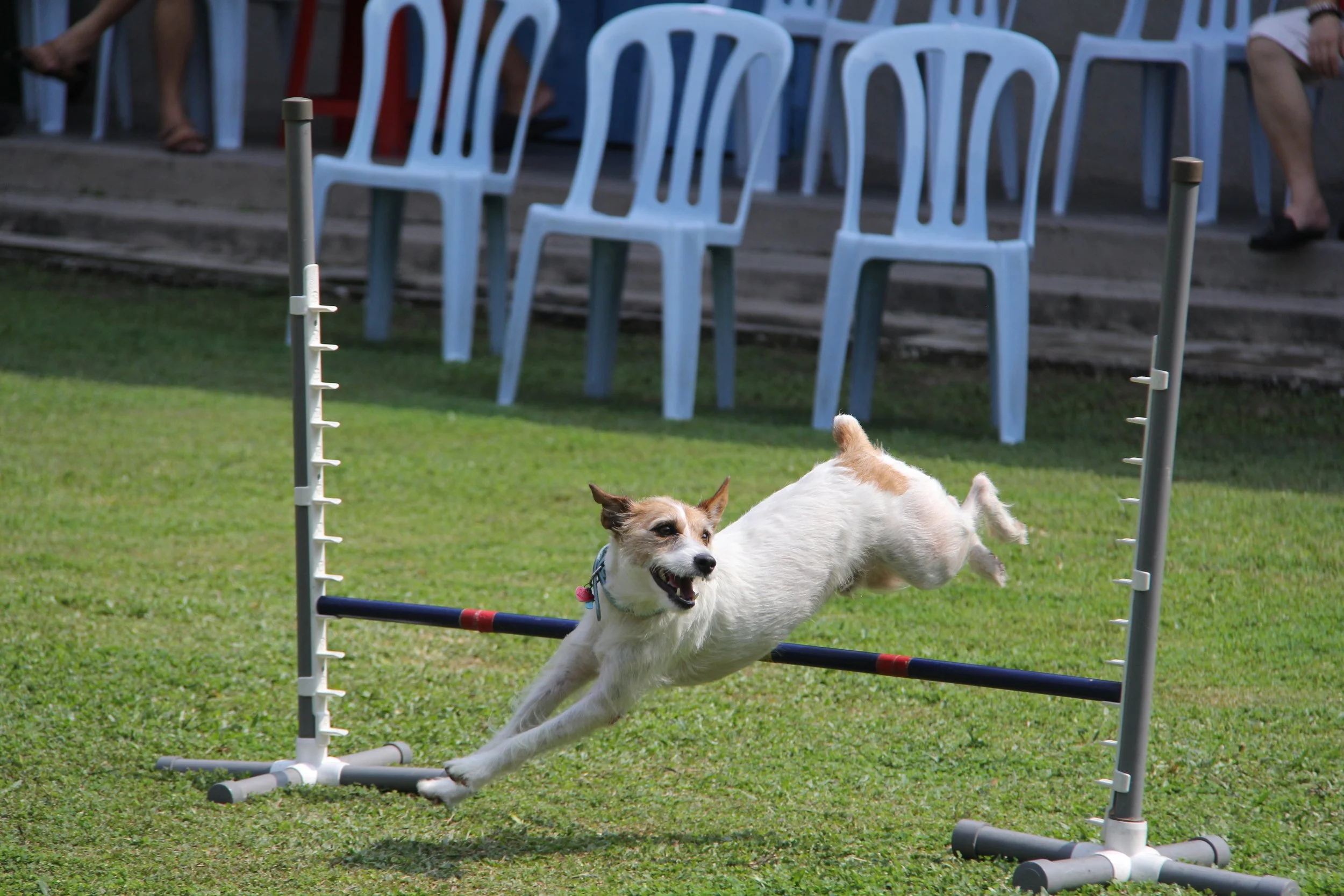 Oranssi technician working on a roof project