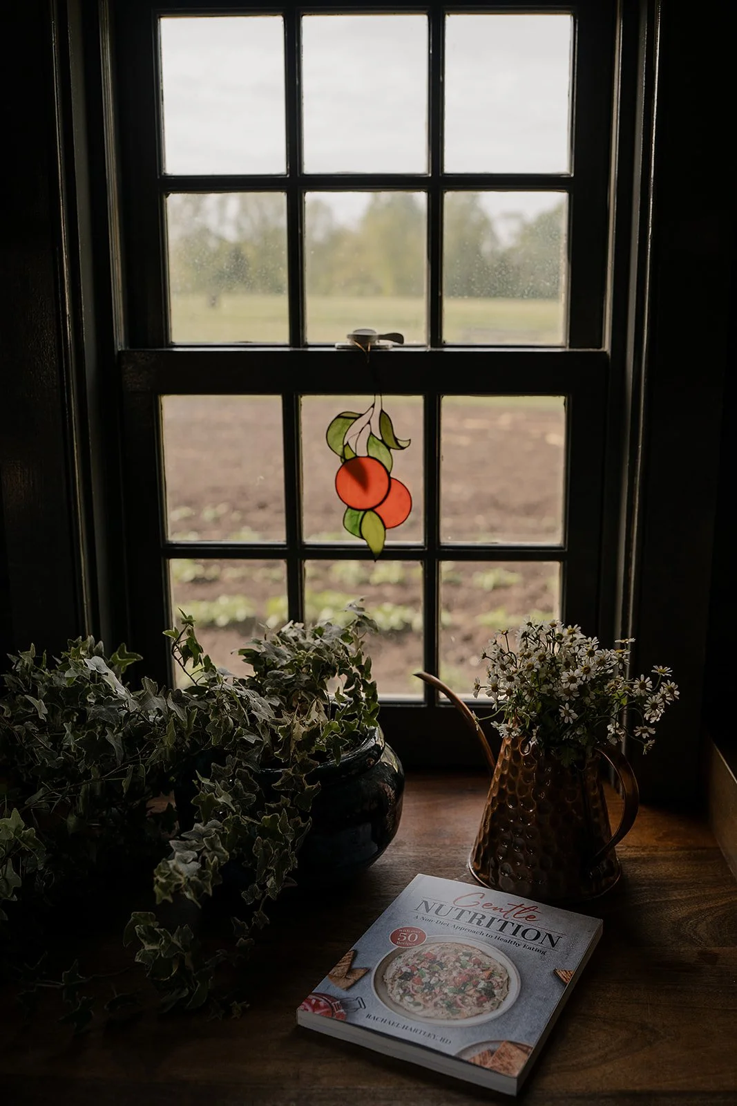 A window with stained glass looking out to a garden, with a book titled "Gente Nutrition" and potted plants on a wooden surface inside.