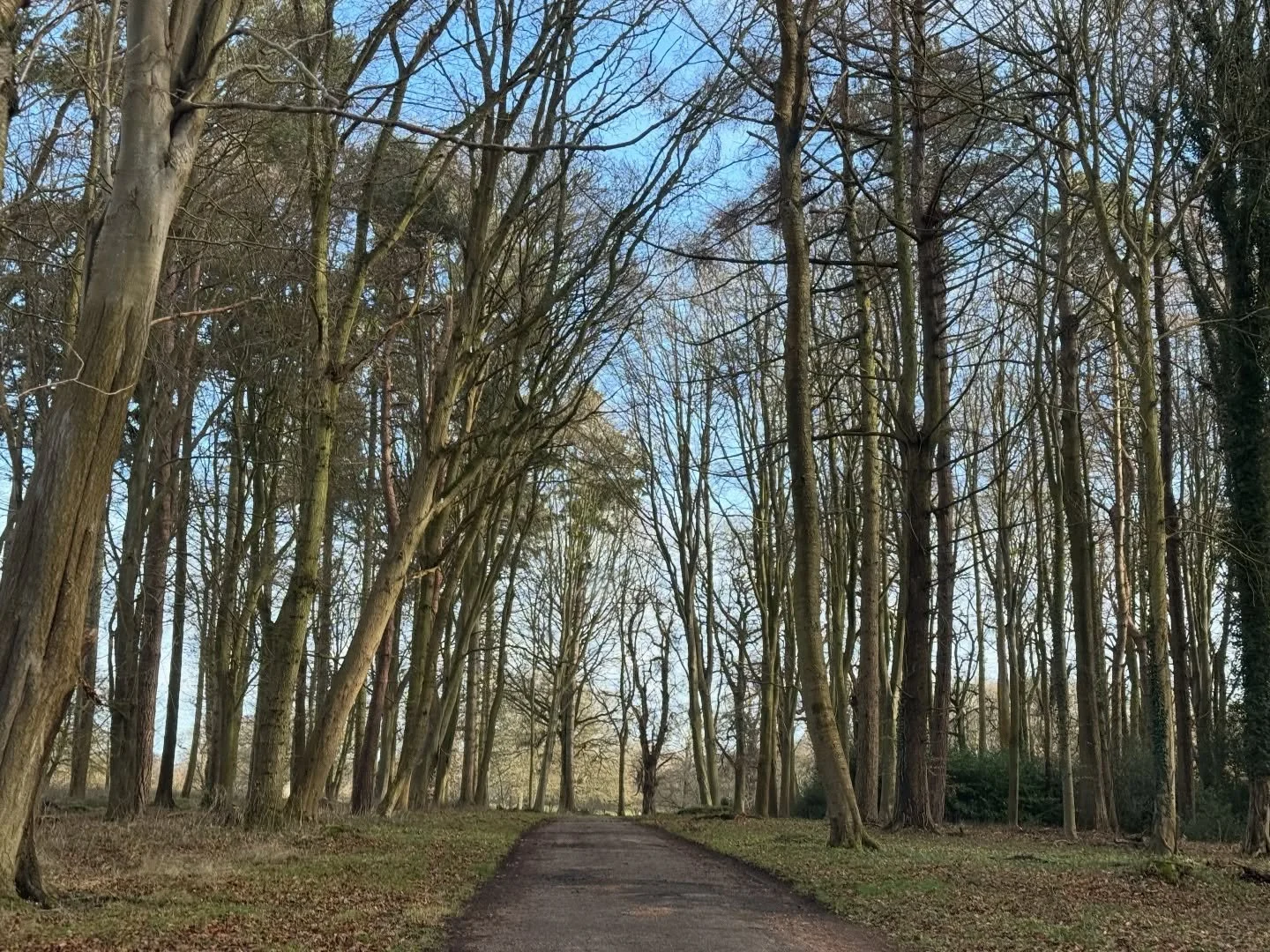 Thank you for Rob for choosing us to celebrate your birthday with you and friend on the fantastic Wolterton Hall 🎉🎂
We hope you and all your friends had a fantastic day!