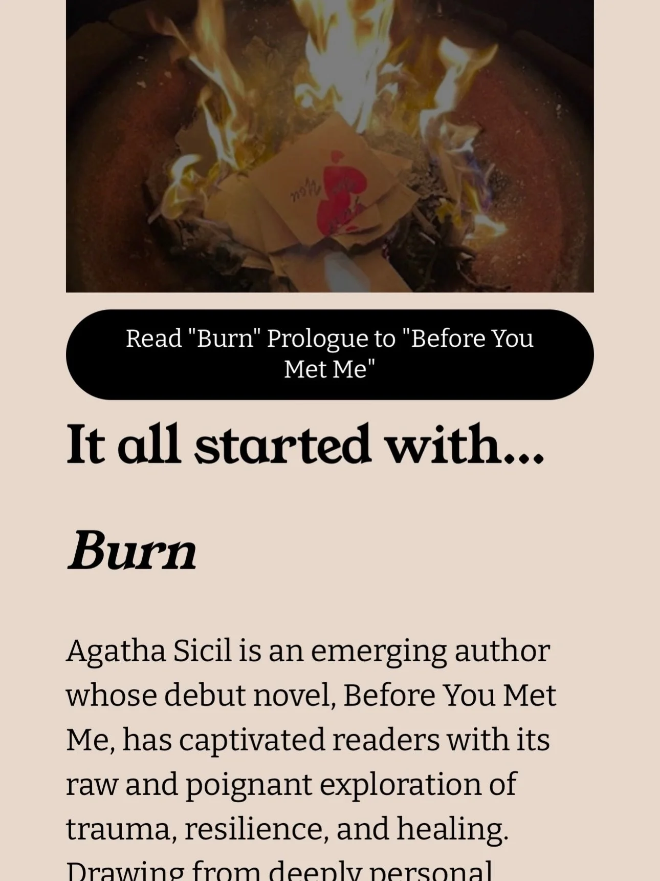 Shedding #2025 website with a new one for #2026
P.S. this snake has more to shed&hellip; #author #writer #published