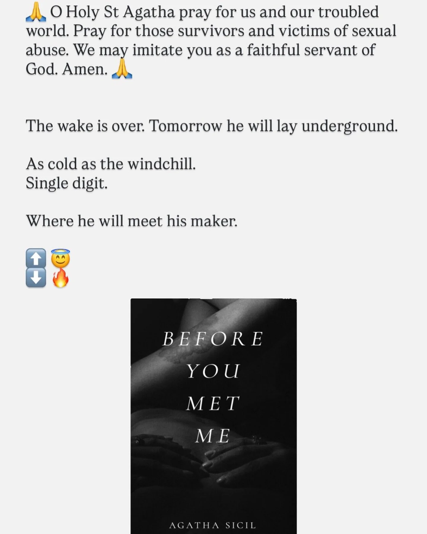 Frigid #2026 #beforeyoumetme #author #writer #published