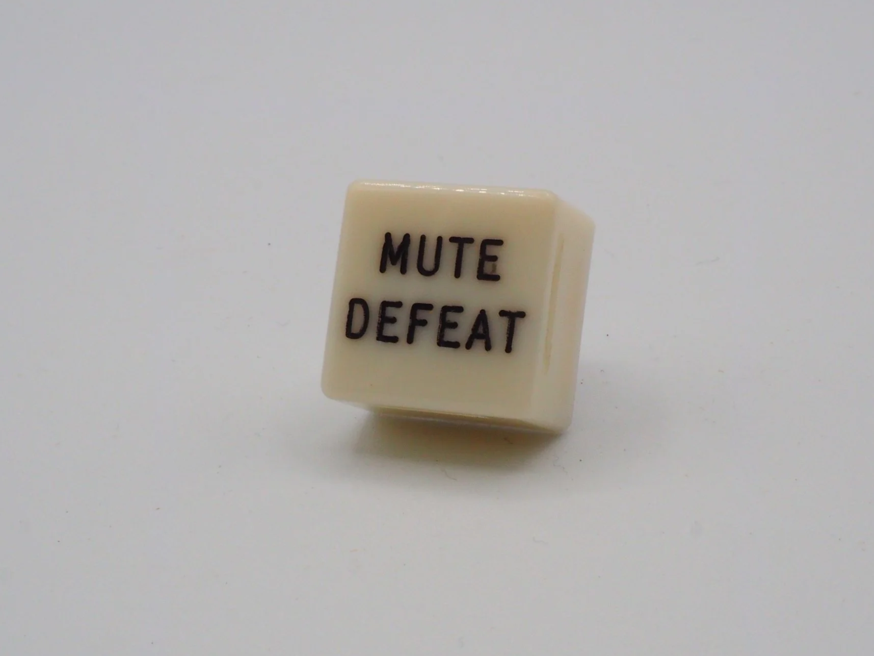 P1010288.png