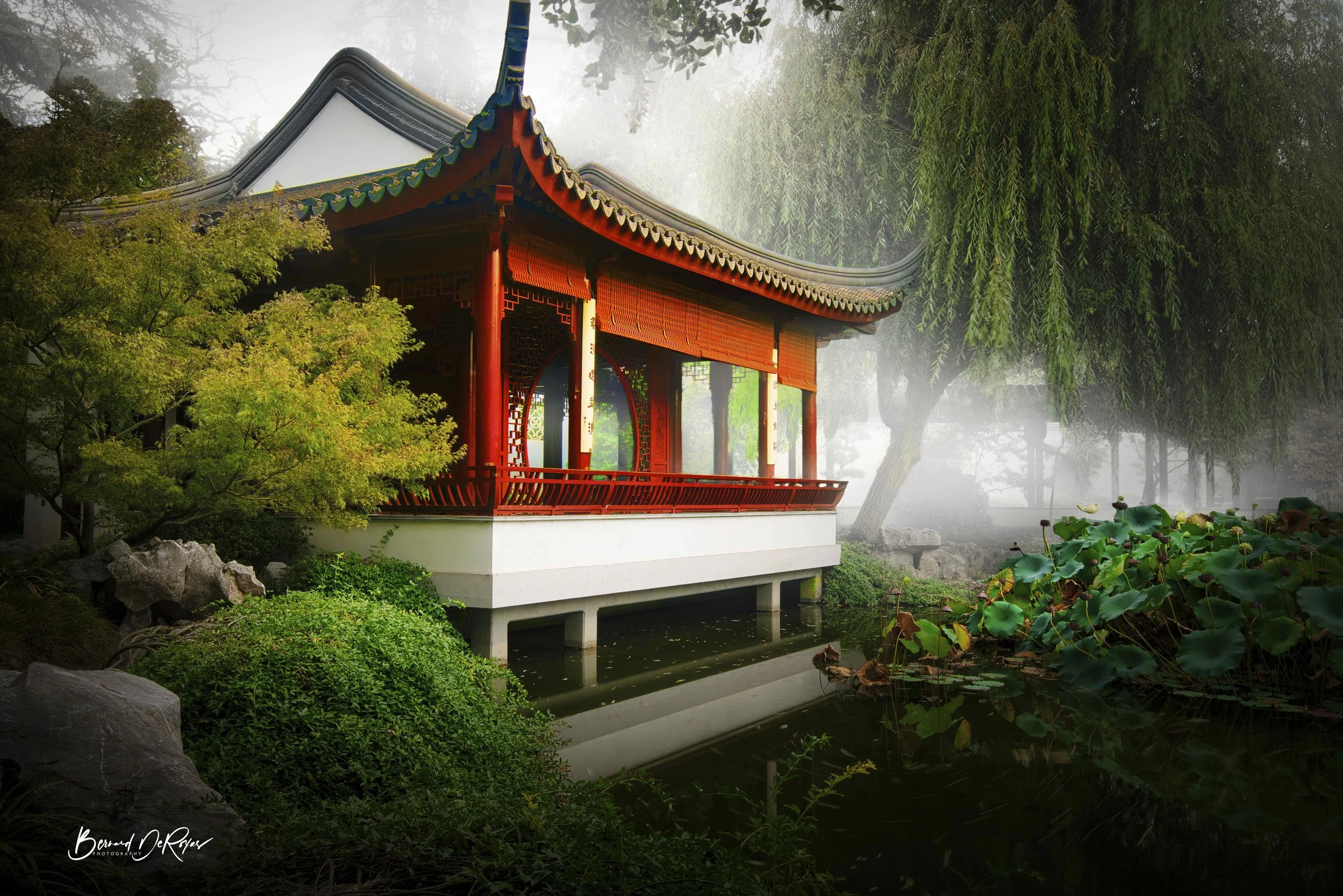Misty Oriental Serenity